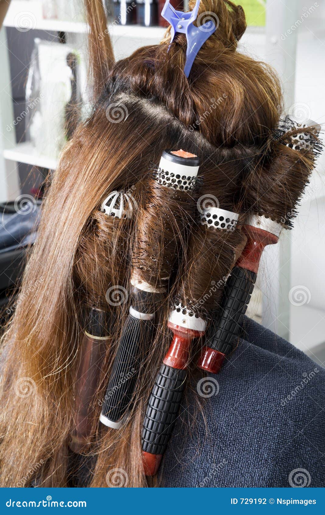 Rollers On Long Hair Stock Photo Image Of Inside Hair 729192