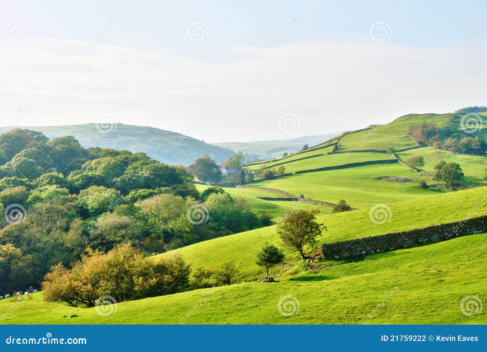 rolling countryside around a farm