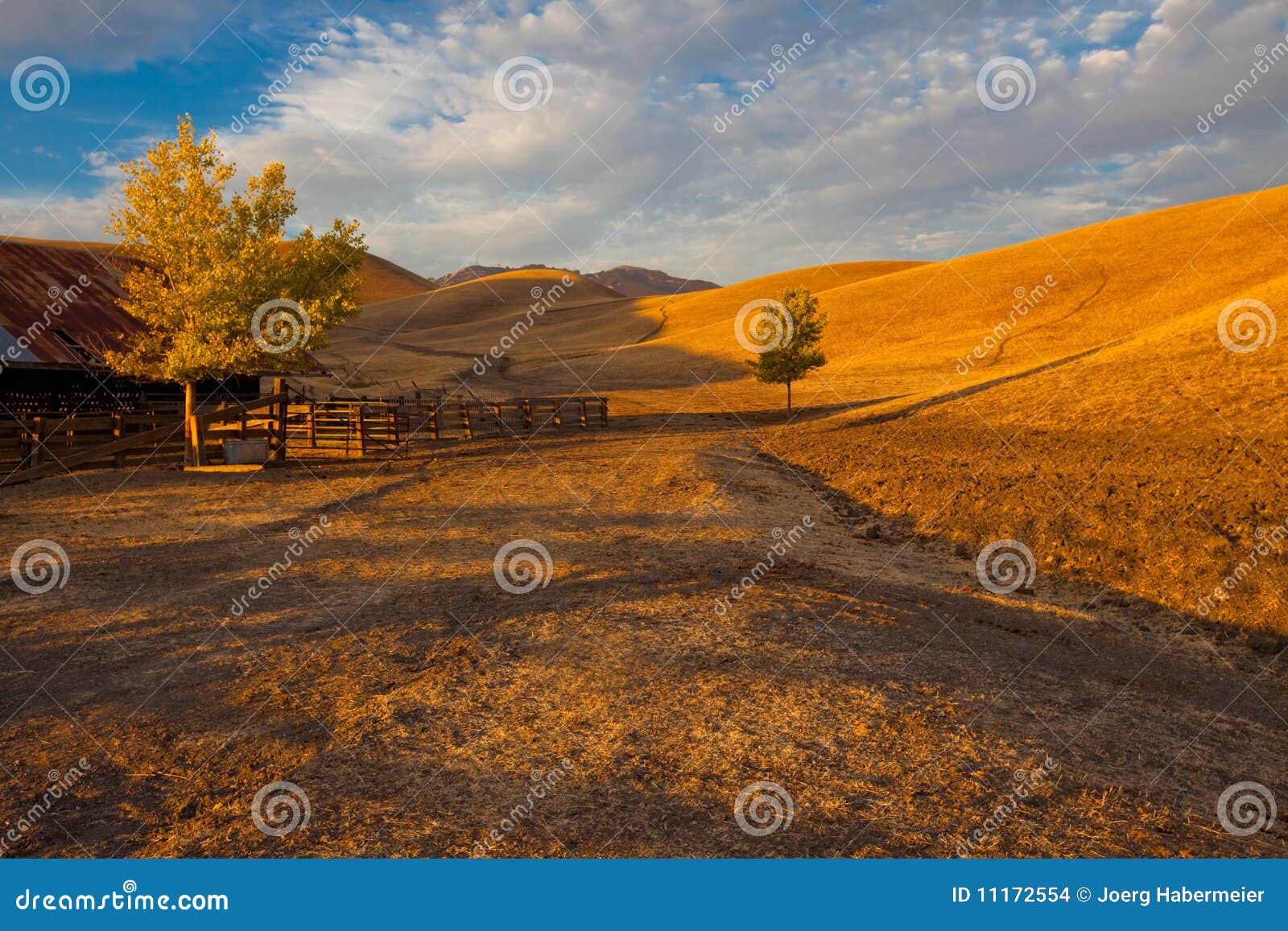 Rolling Golden Hills Farm Land Stock Photo Image of beautiful, autumn