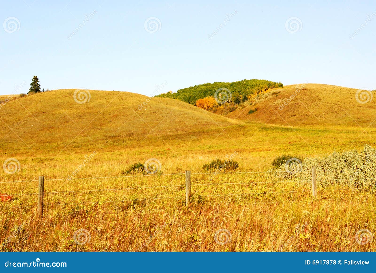 rolling grassland