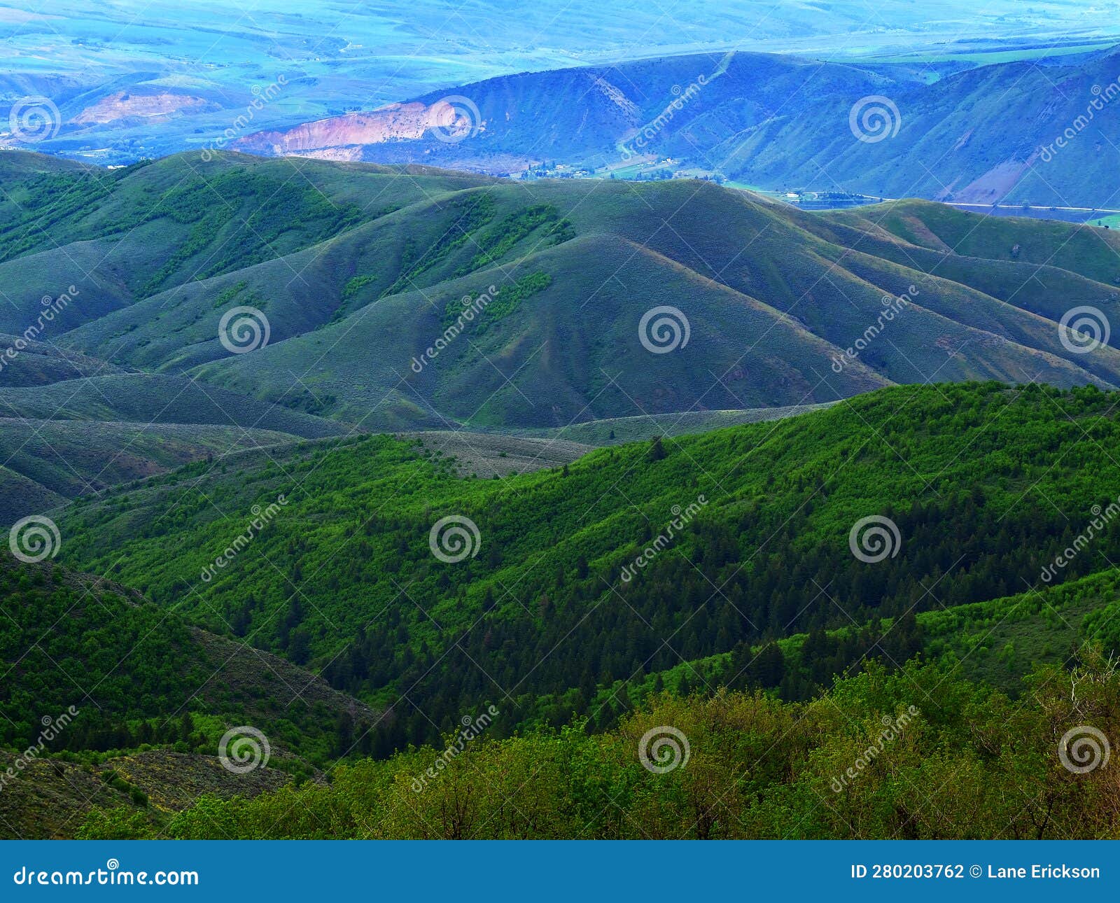 Rolling Green Hills and Mountains with Forest Trees Stock Photo Image