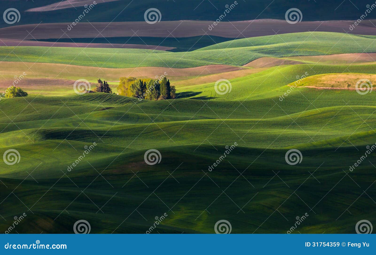 rolling hill and farm land