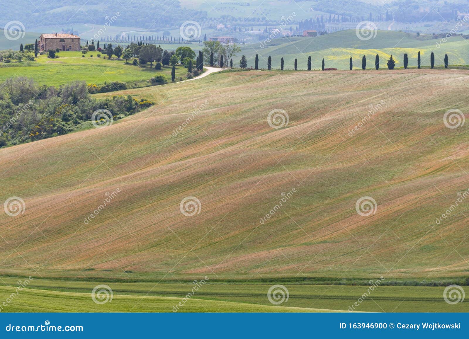 Rolling Hills of Different Colors in Soft Light, Tuscany, Italy Stock Photo Image of panoramic