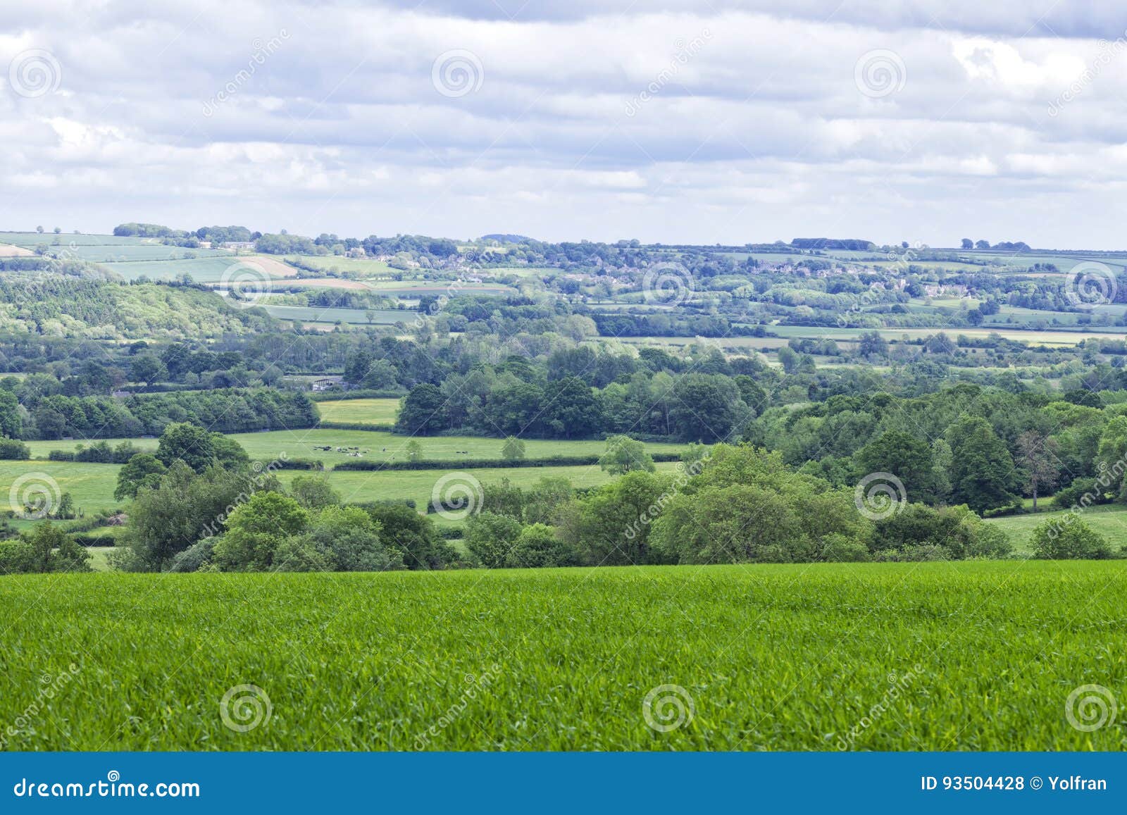 rolling hills with green fields, rural villages, woodlands