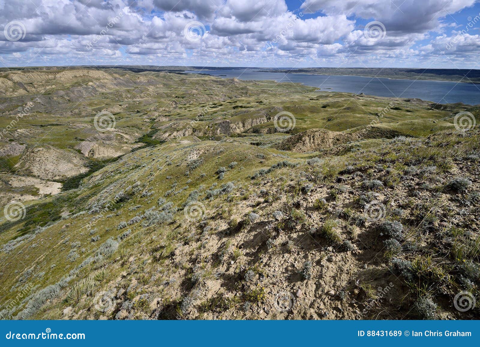Rolling Hills Lake Diefenbaker Stock Image Image of landscape