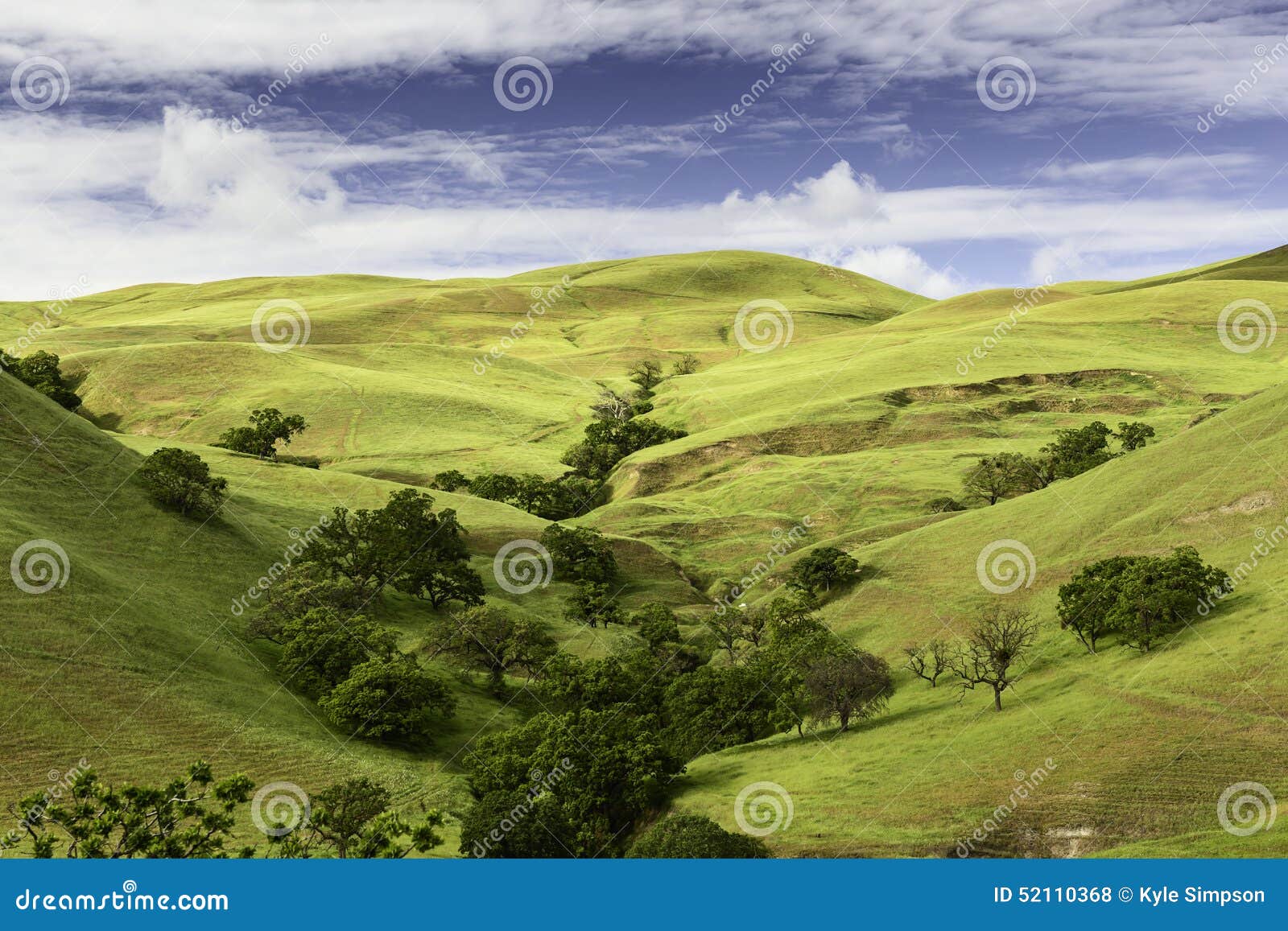 rolling hills in the spring in livermore