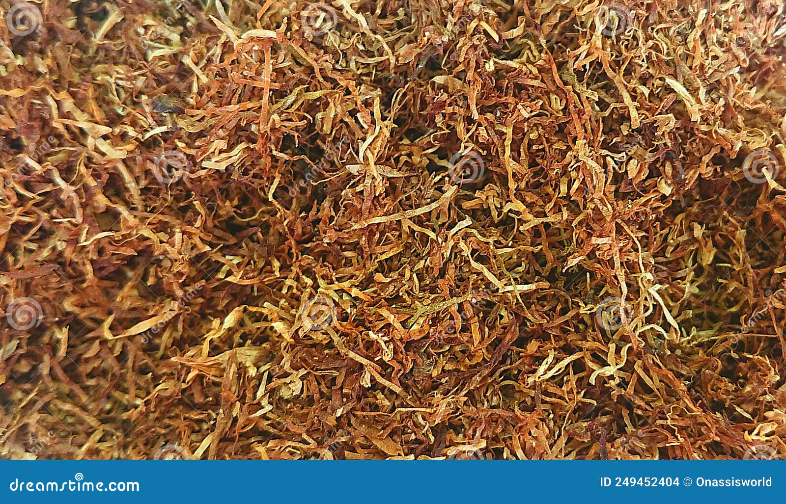 Rolling Tobacco Closeup stock photo. Image of health 249452404