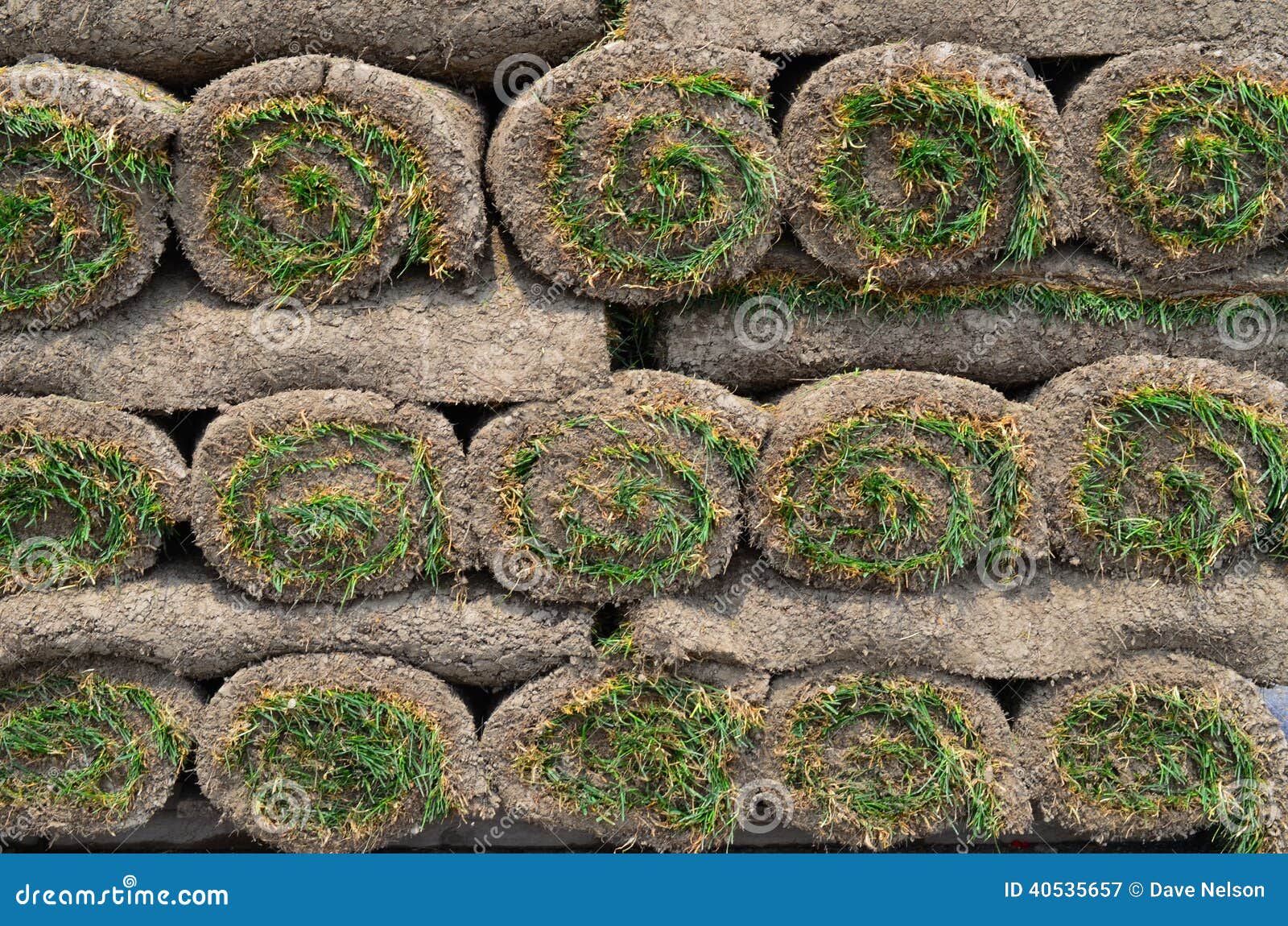Rolls of turf sod for lawn stock image. Image of rolled 40535657