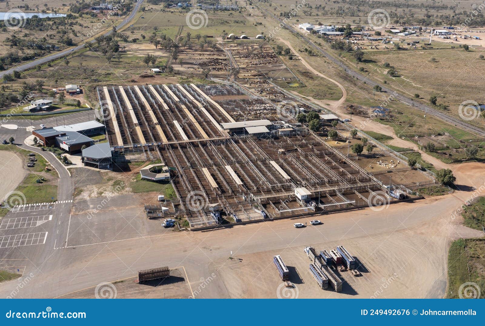 Roma cattle saleyards . stock photo. Image of queensland 249492676