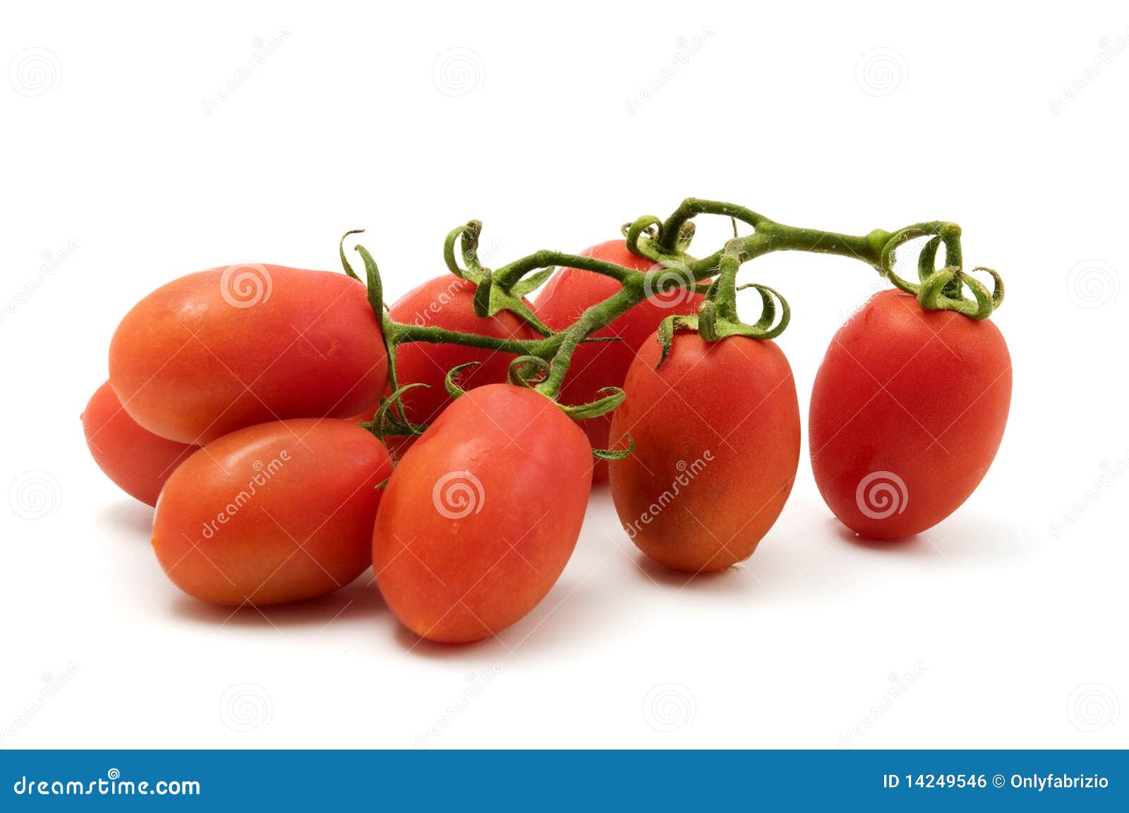 roma tomato