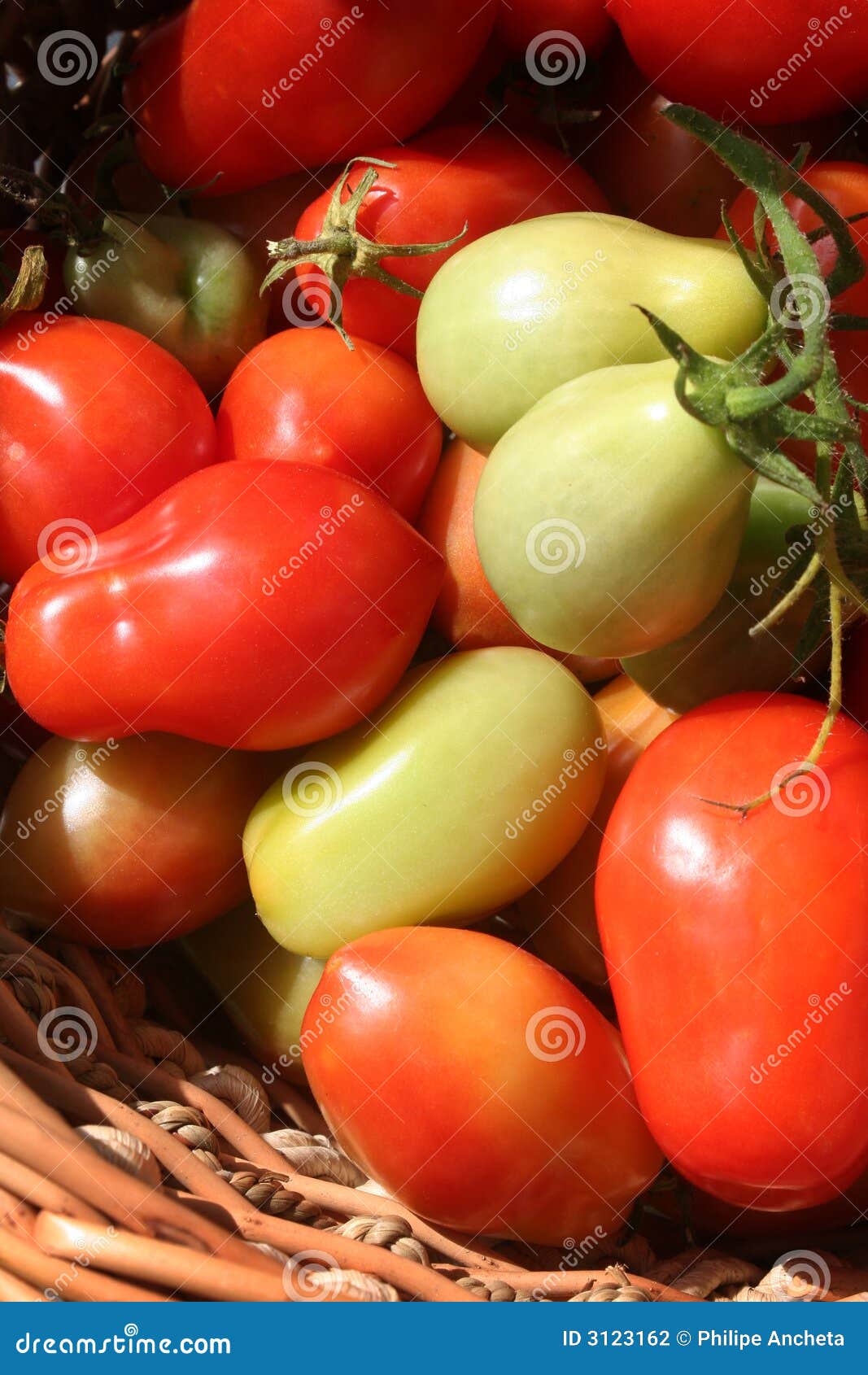 Roma tomatoes in s basket stock photo. Image of tomatoes 3123162