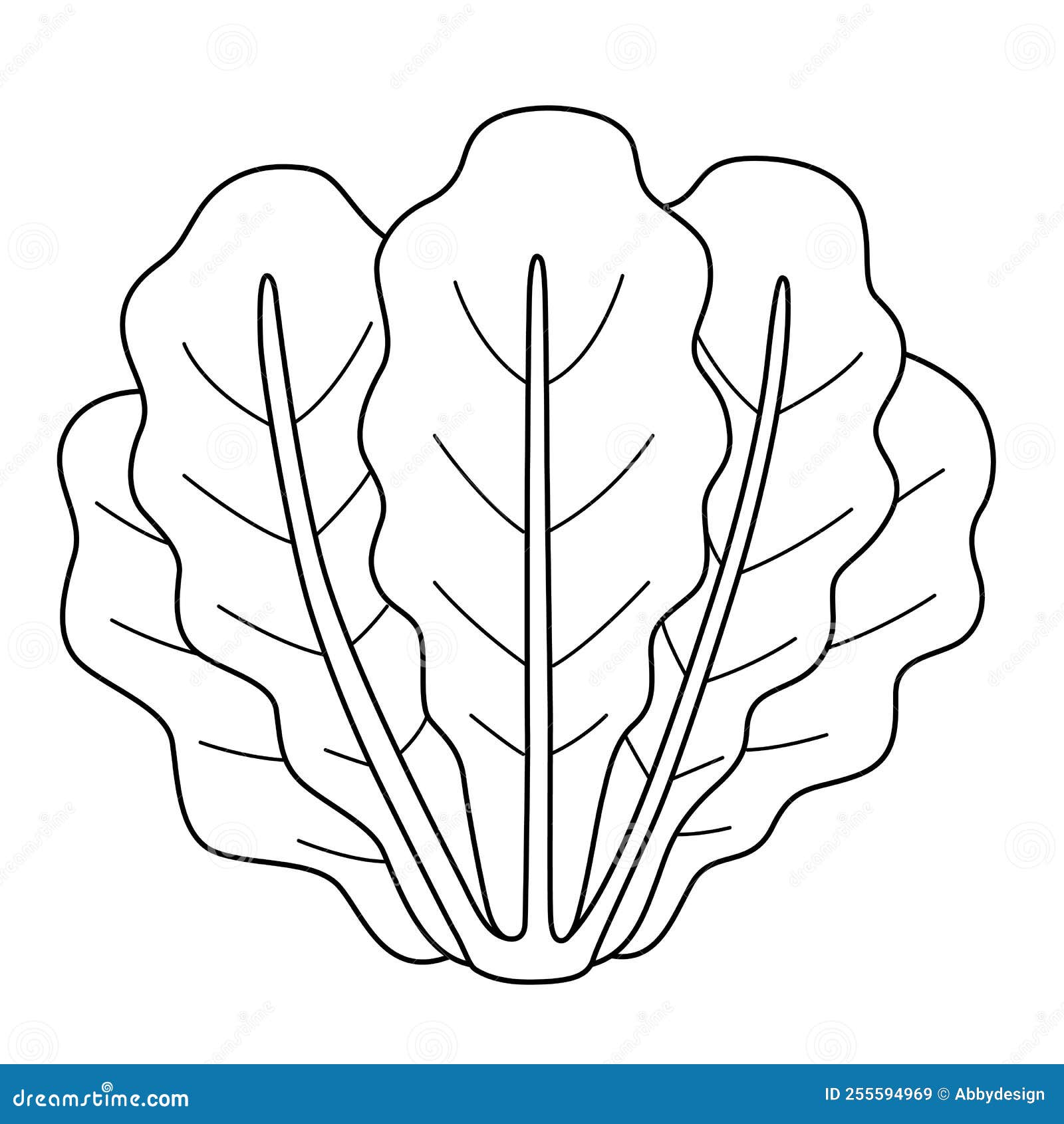 Romaine Lettuce Vegetable Isolated Coloring Page Stock Vector ...