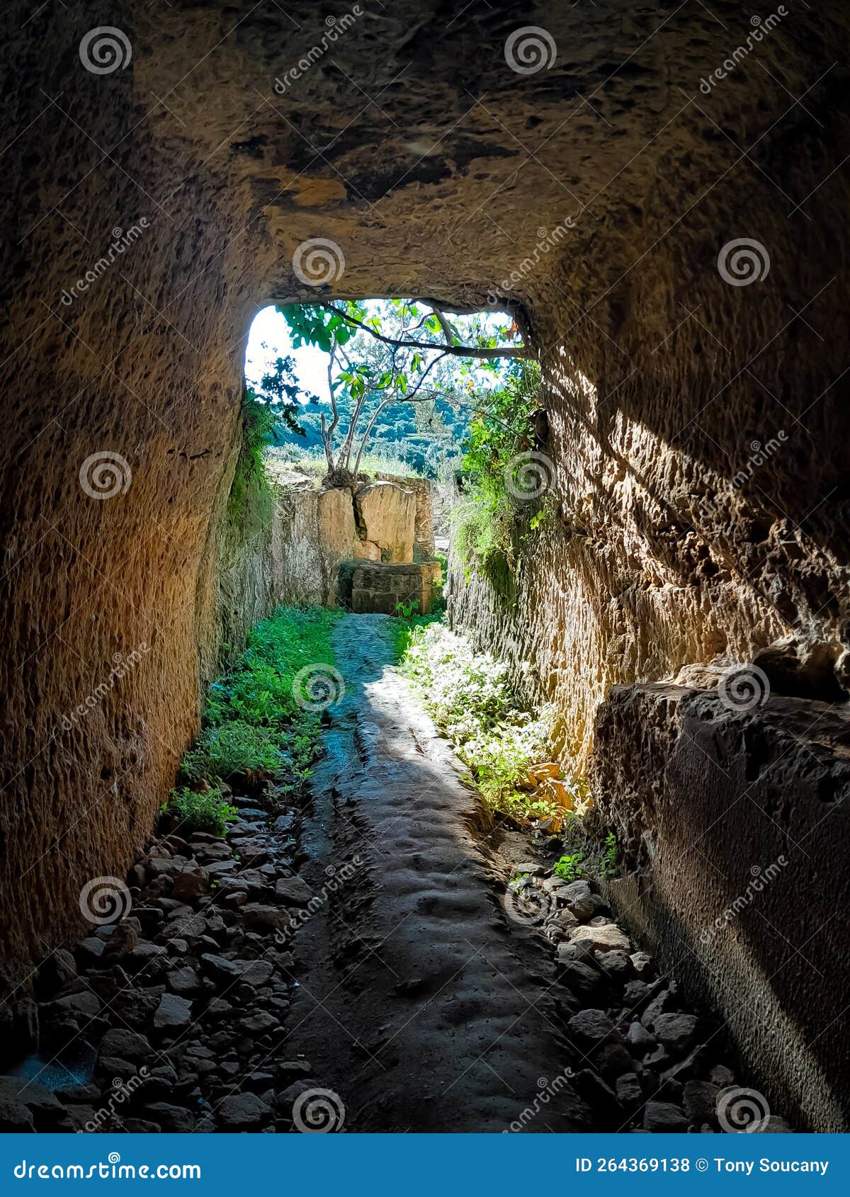 Roman Aqueduct Tunnel in the Forest Stock Photo Image of
