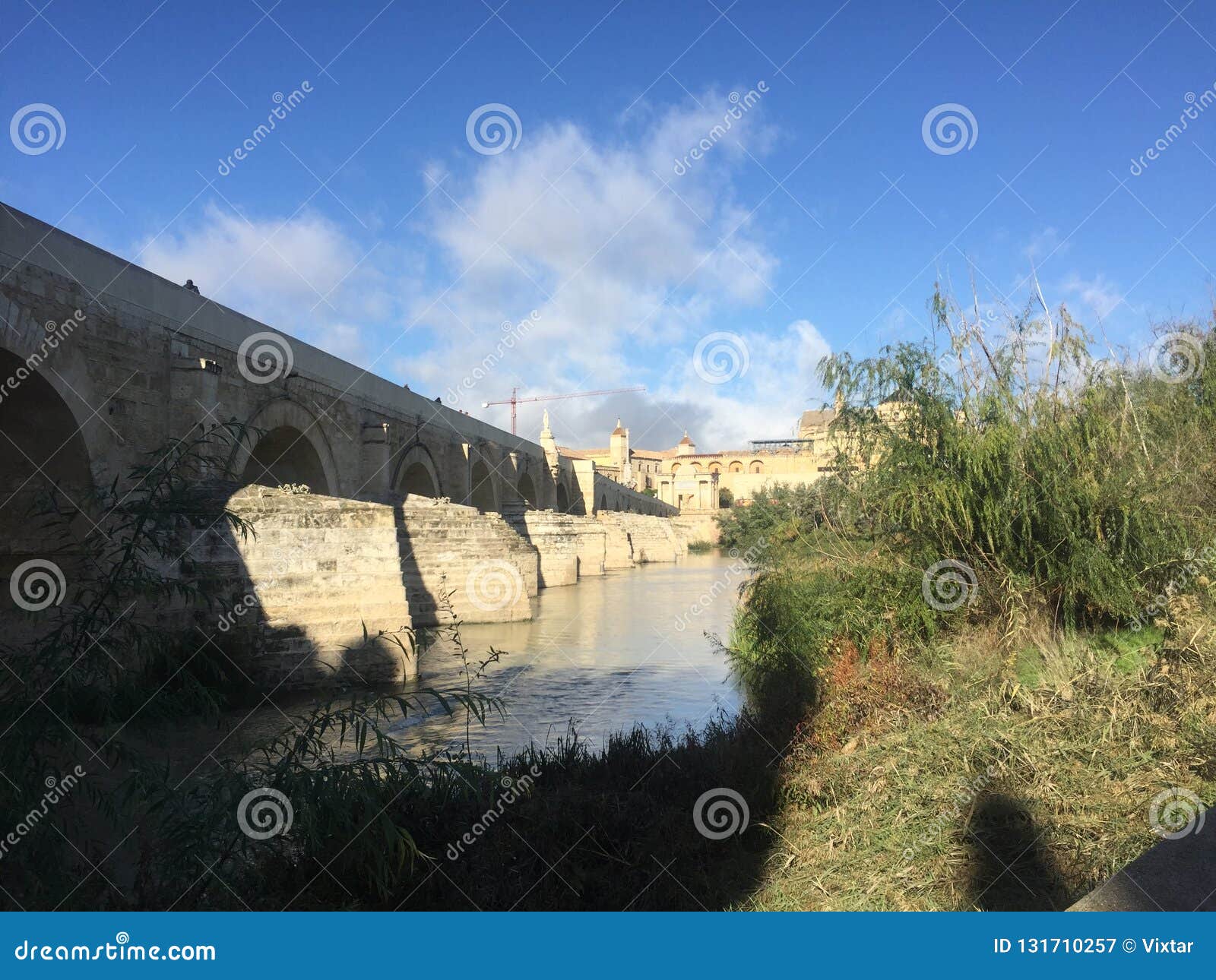 the roman bridge & tower in cordoba ii