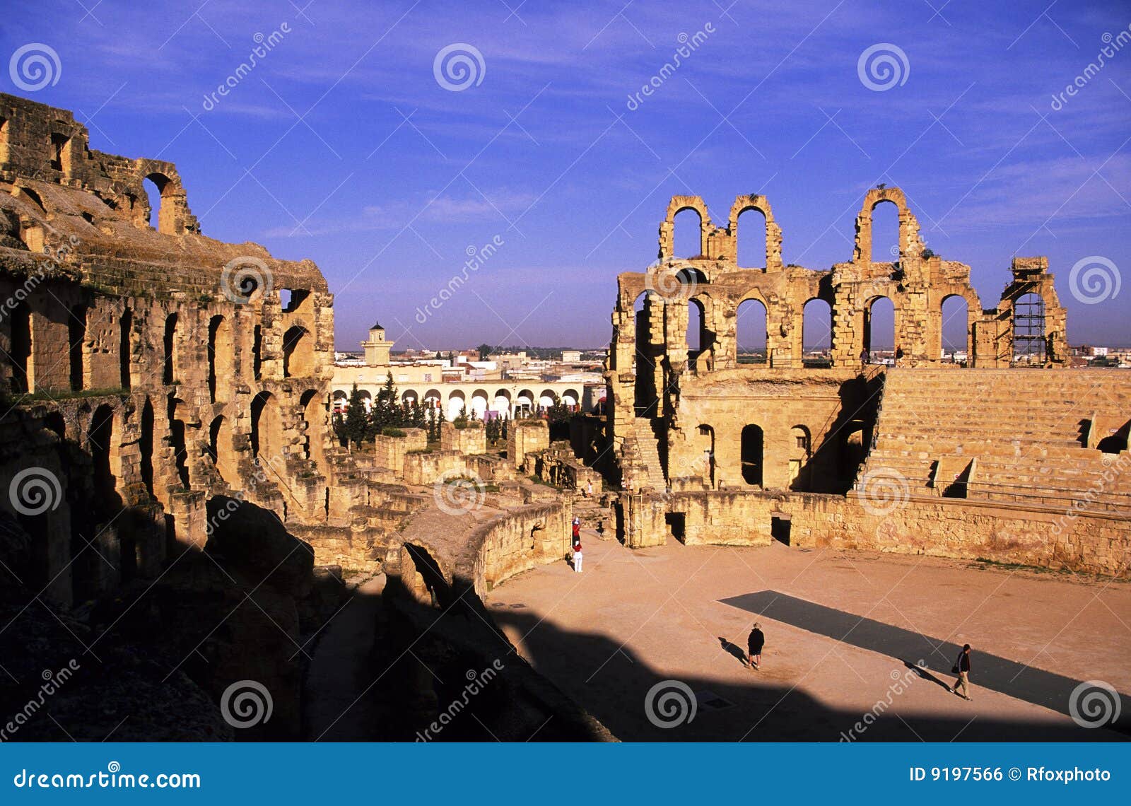 Scale per cani immagini e fotografie stock ad alta risoluzione - Alamy