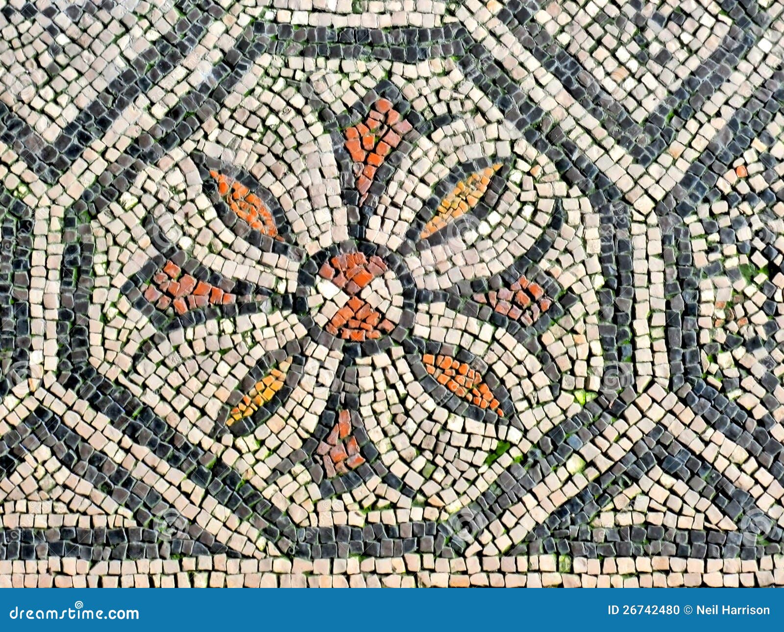 roman mosaic shapes