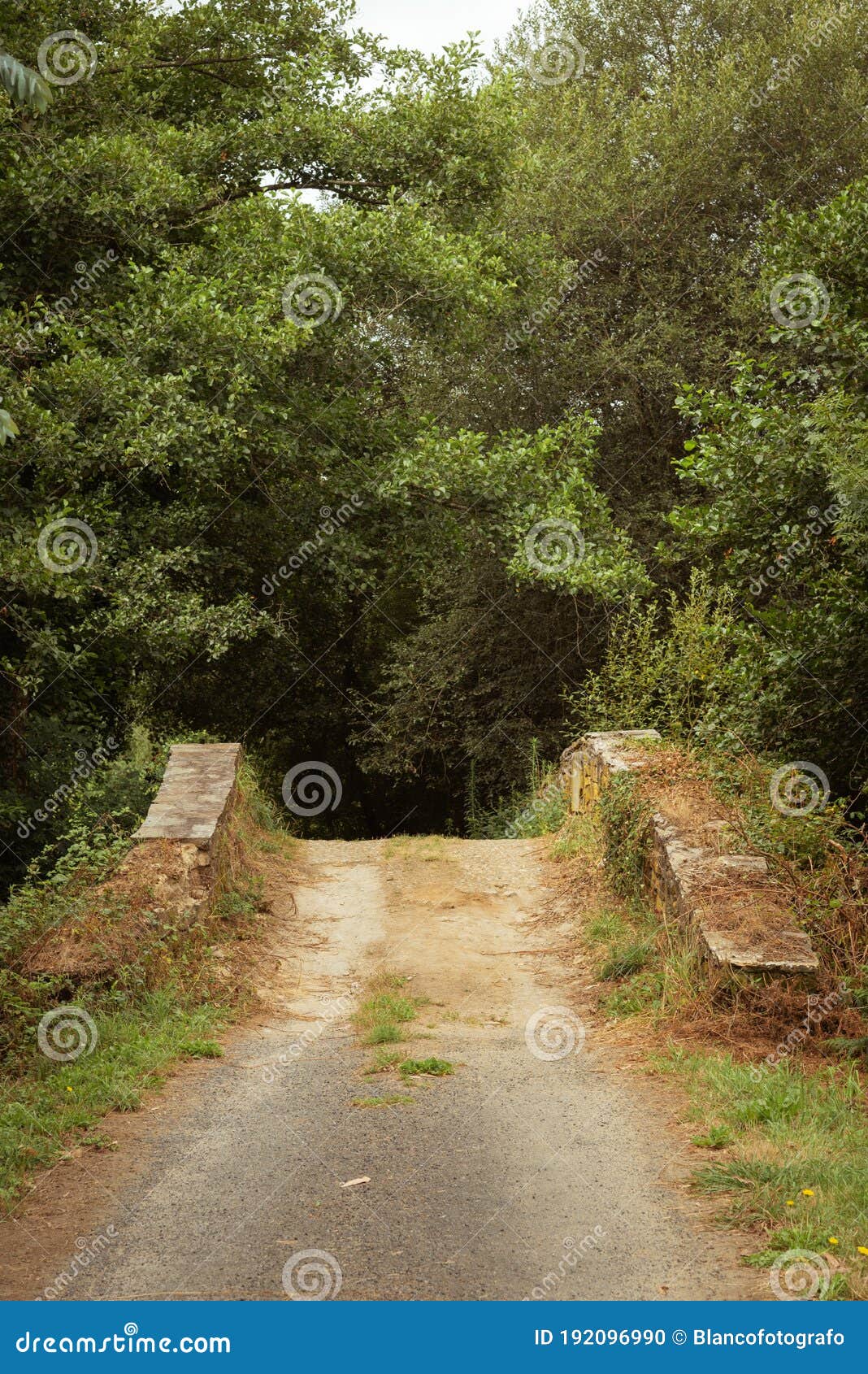 roman stone brigde over mero river at beldonha, corunha, galiza