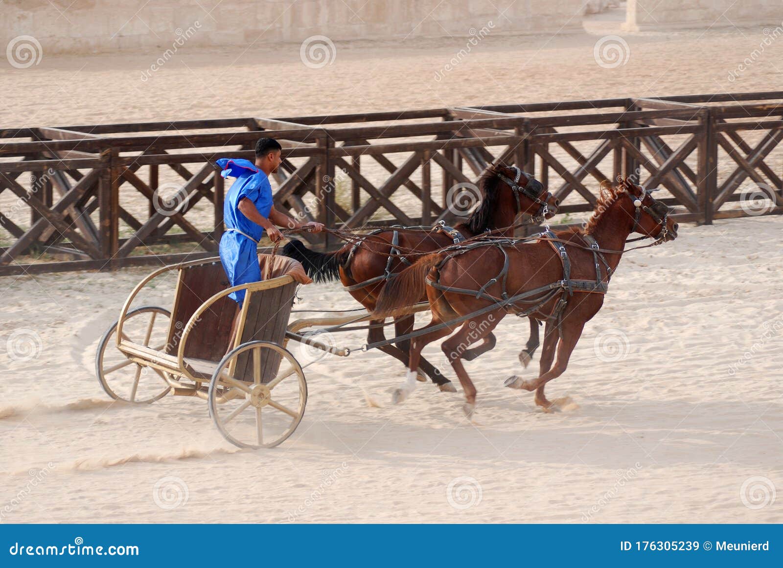 jerash chariot races jerash chariot races