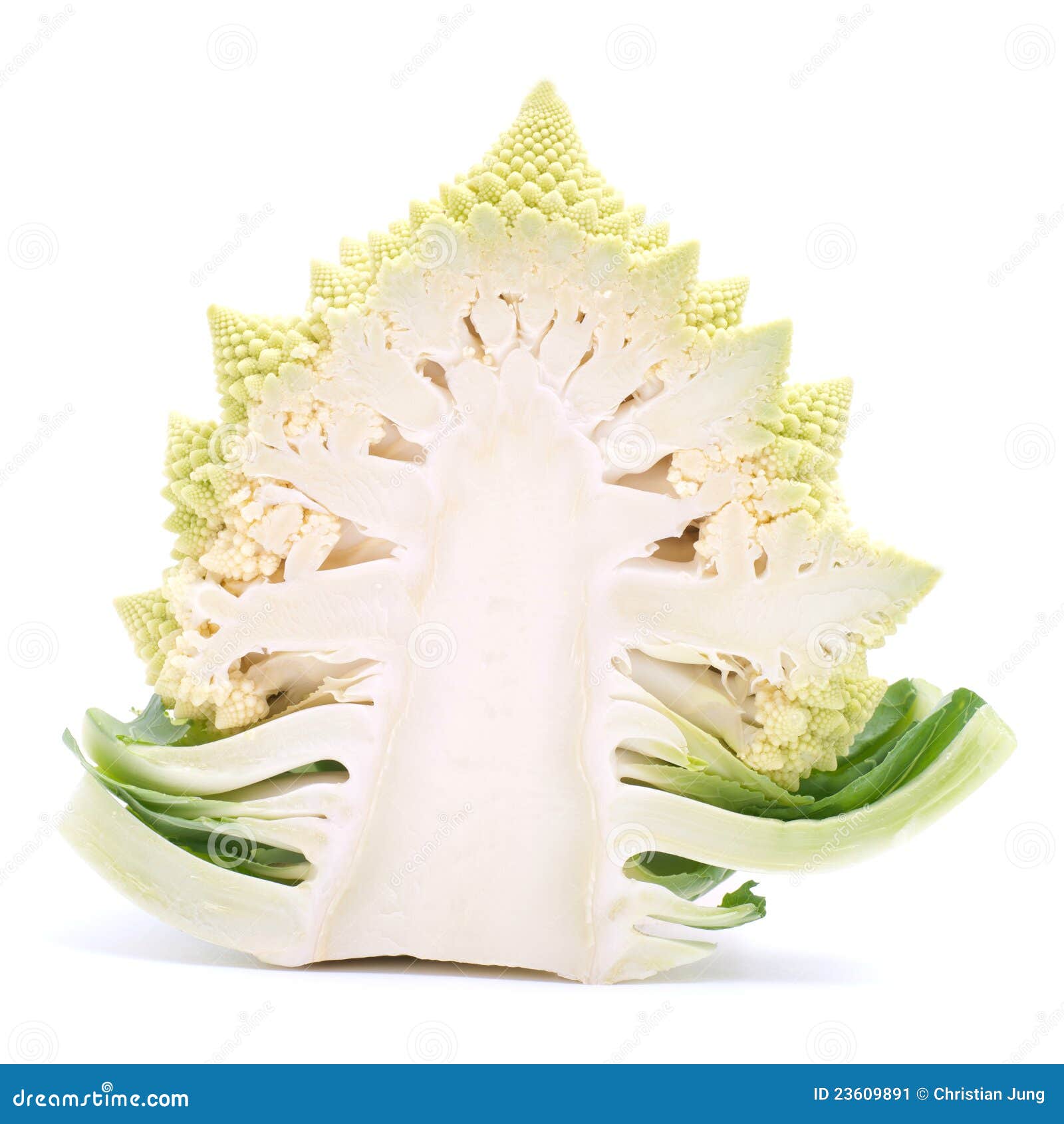 Romanesco broccoli stock image. Image of nutrition, fresh 23609891