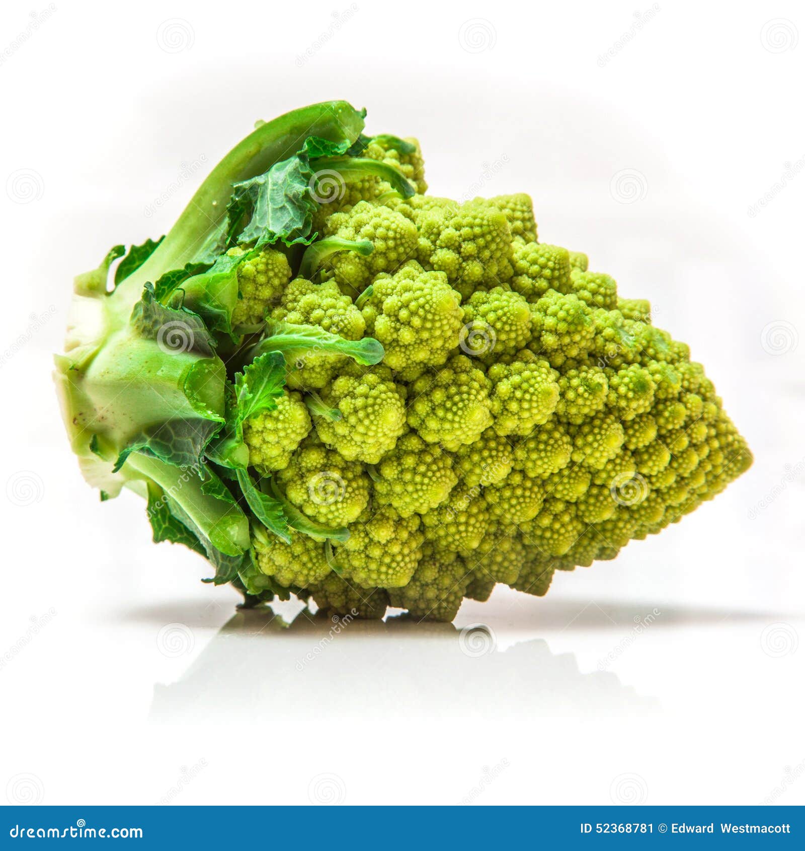 Romanesco broccoli stock image. Image of romanesco, isolated 52368781