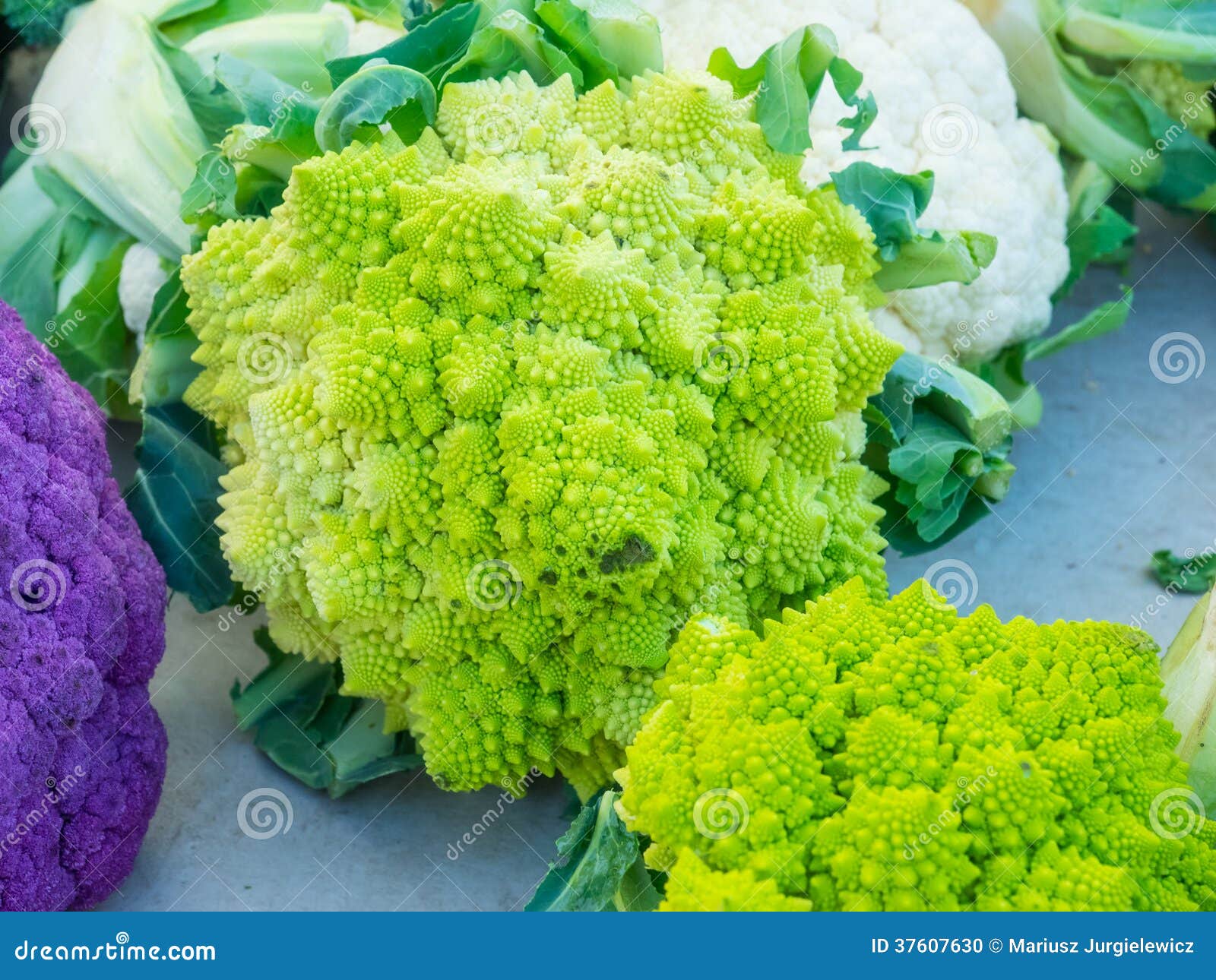 Romanesque cauliflower stock photo. Image of edible, tasty 37607630