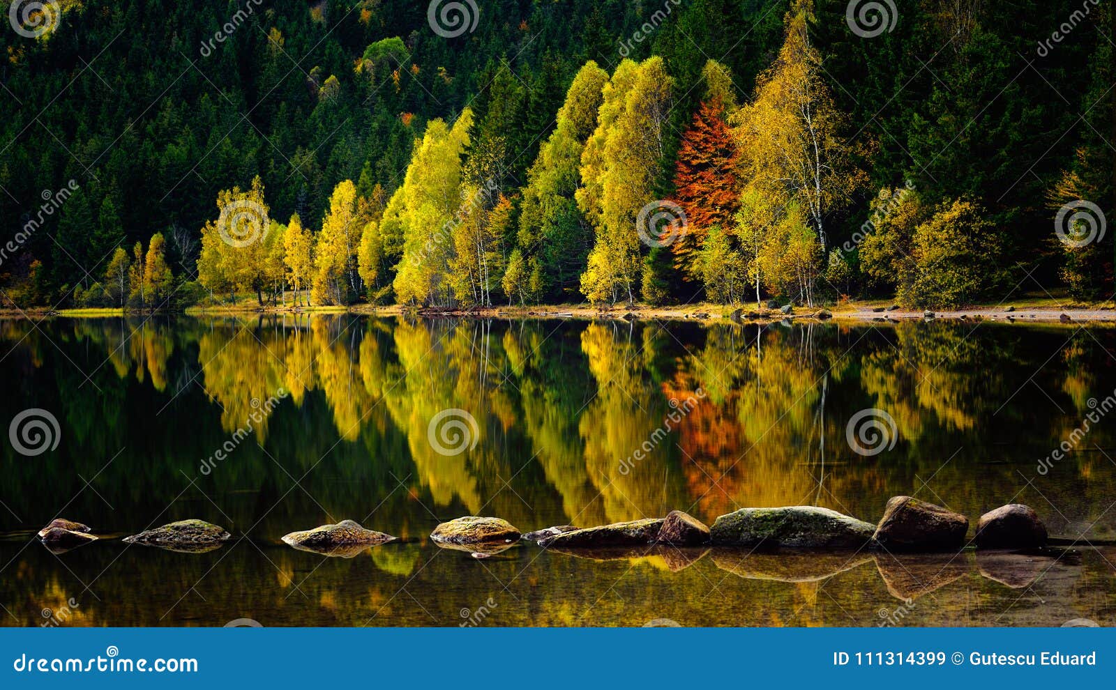 romania beautiful landscape saint ana volcanic lake