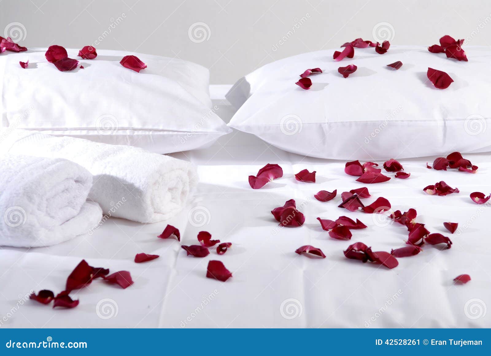 romantic beautiful red petals on white cushions wi