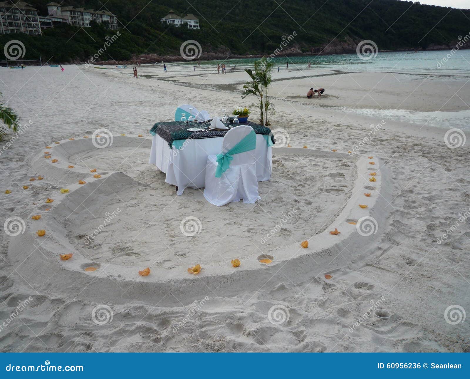 Romantic dinner at seaside stock photo. Image of coast - 60956236