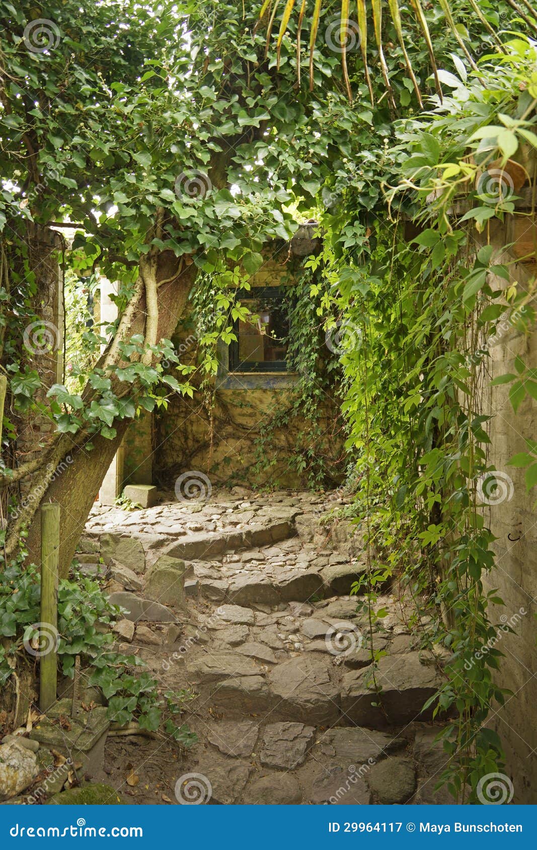 Romantic English Cottage Garden Stock Image Image Of Perennial