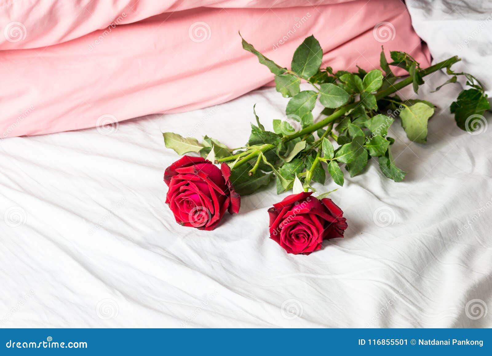 Romantic Getaway with Red Roses on Bed Stock Image - Image of peace ...
