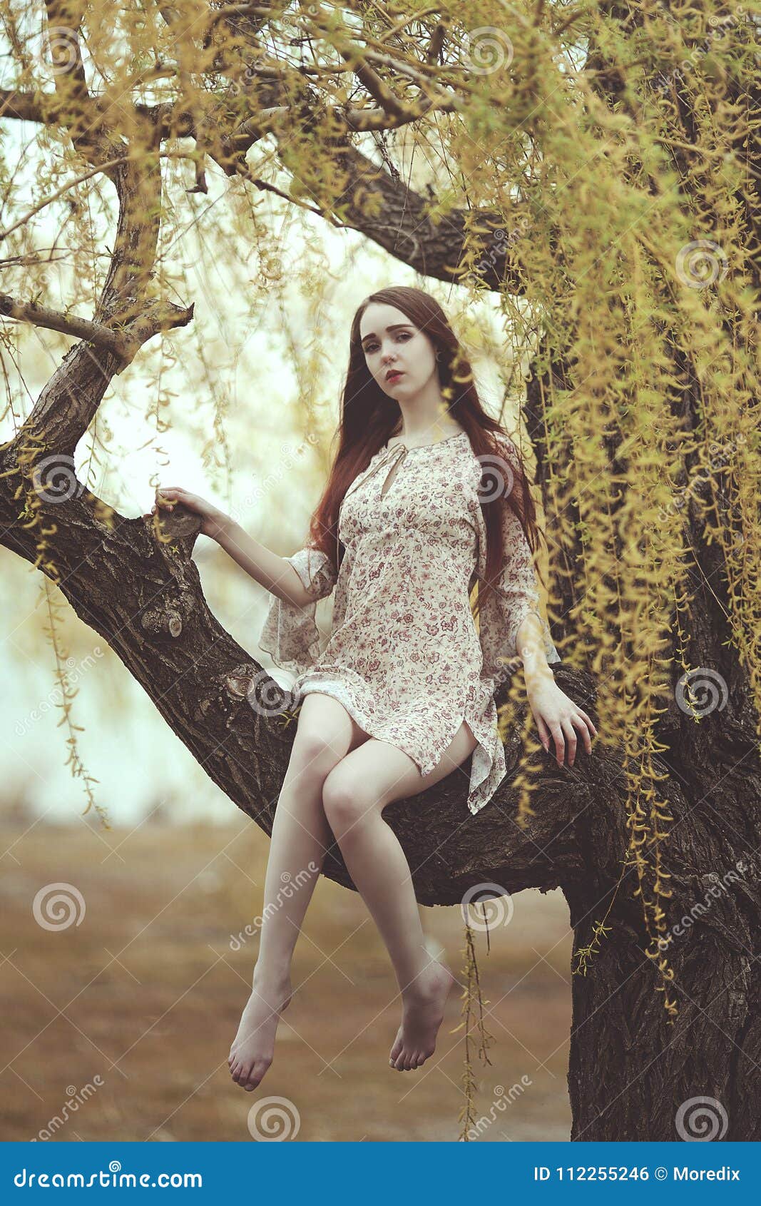 https://thumbs.dreamstime.com/z/romantic-girl-red-long-hair-wind-willow-tree-beautiful-112255246.jpg