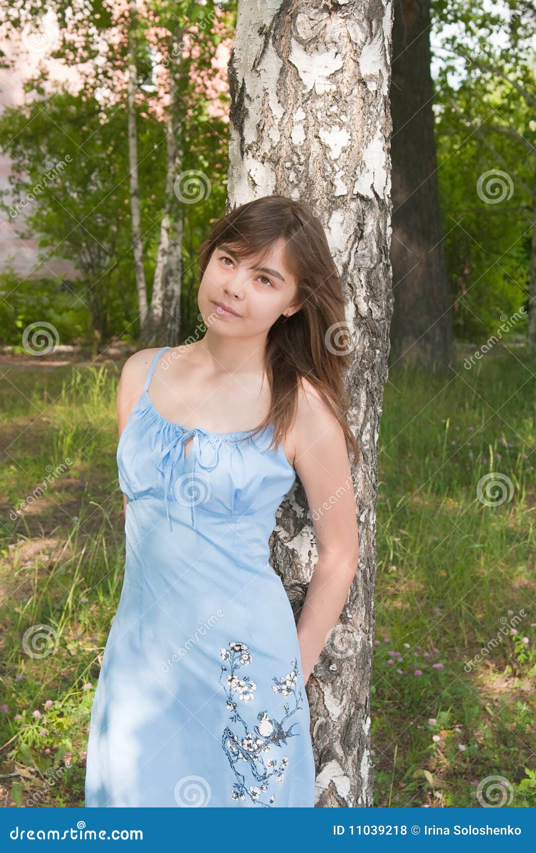The Romantic Girl Stands Near To a Birch Stock Photo - Image of face ...