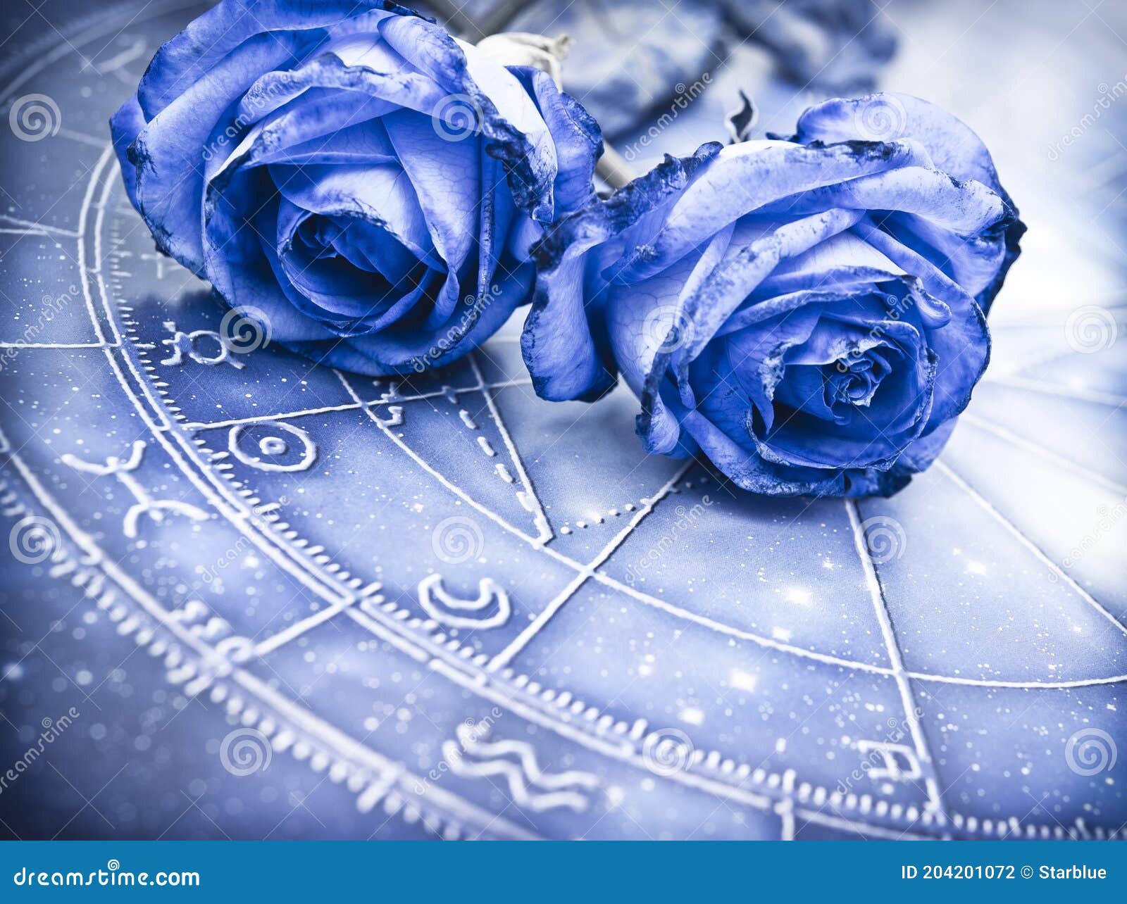 Romantic Horoscope with Beautiful Blue Roses Like Zodiac and Love Concept  Stock Photo - Image of astrological, relationship: 204201072