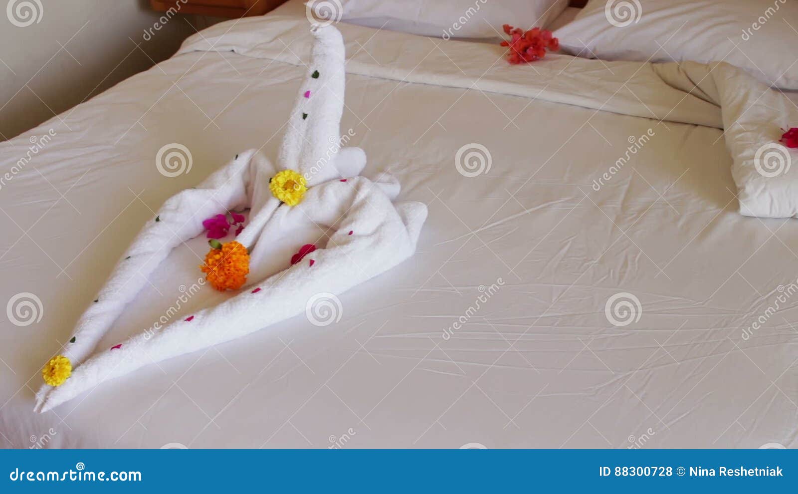 Romantic Hotel Room With Swan Towels Stock Footage Video