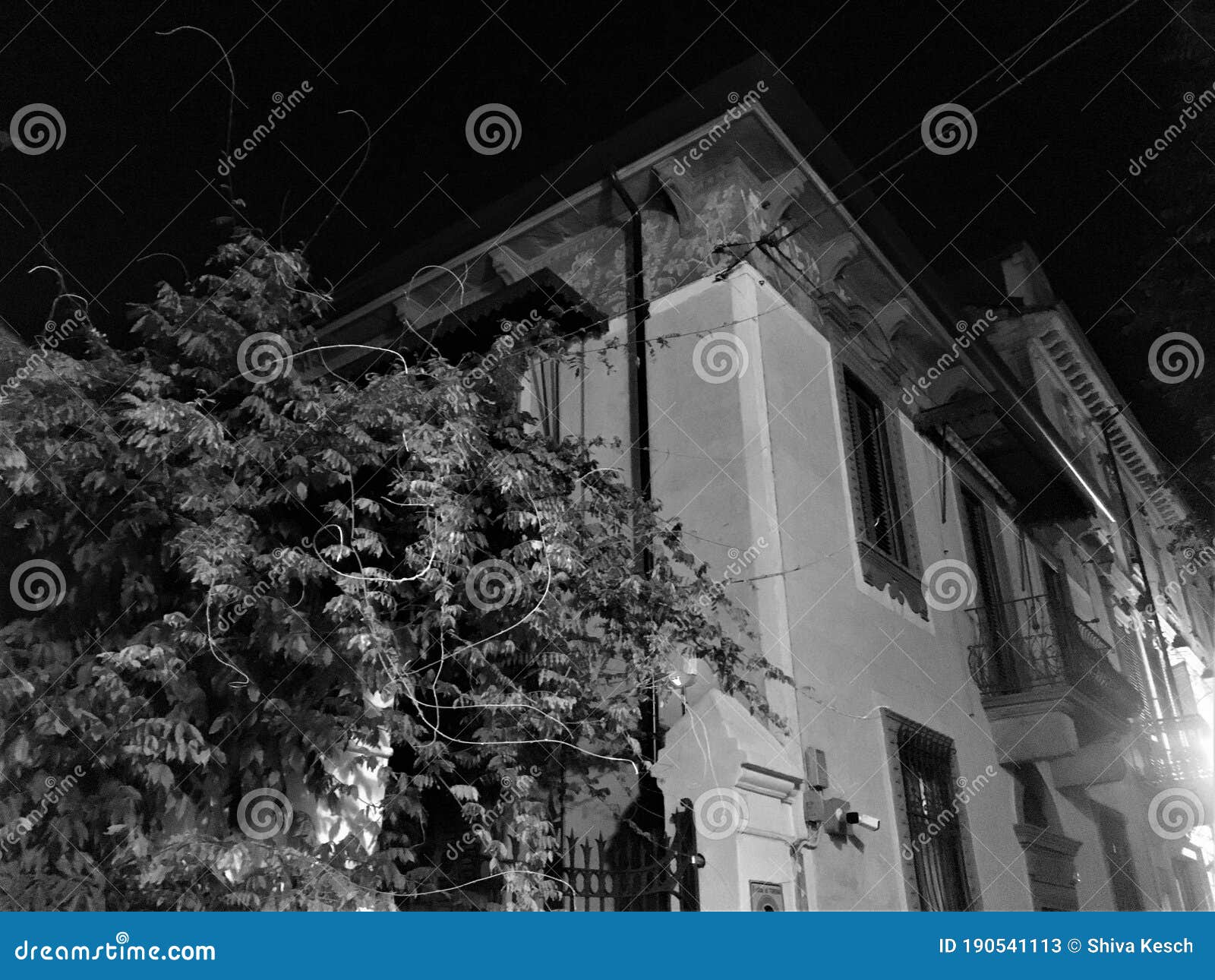 romantic houses, esoterism and magic in turin city, italy. black and white