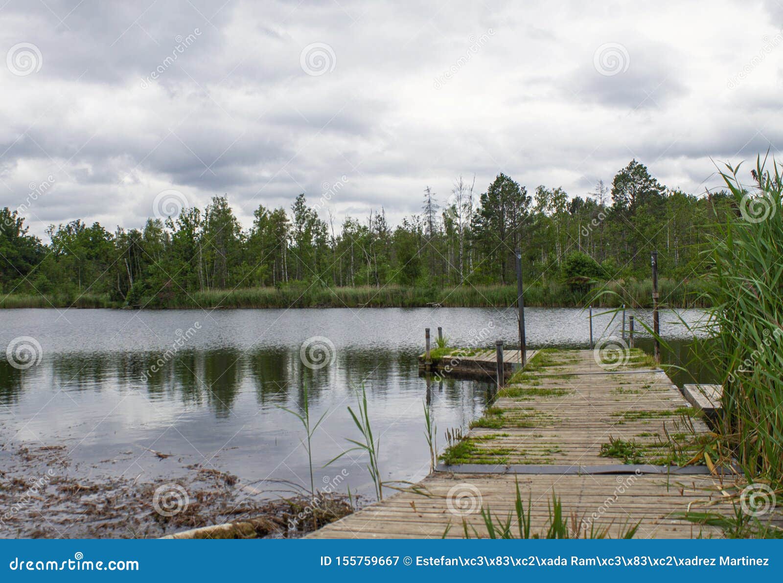 romantic landscape of photography of forest and lake in skovde sweden.