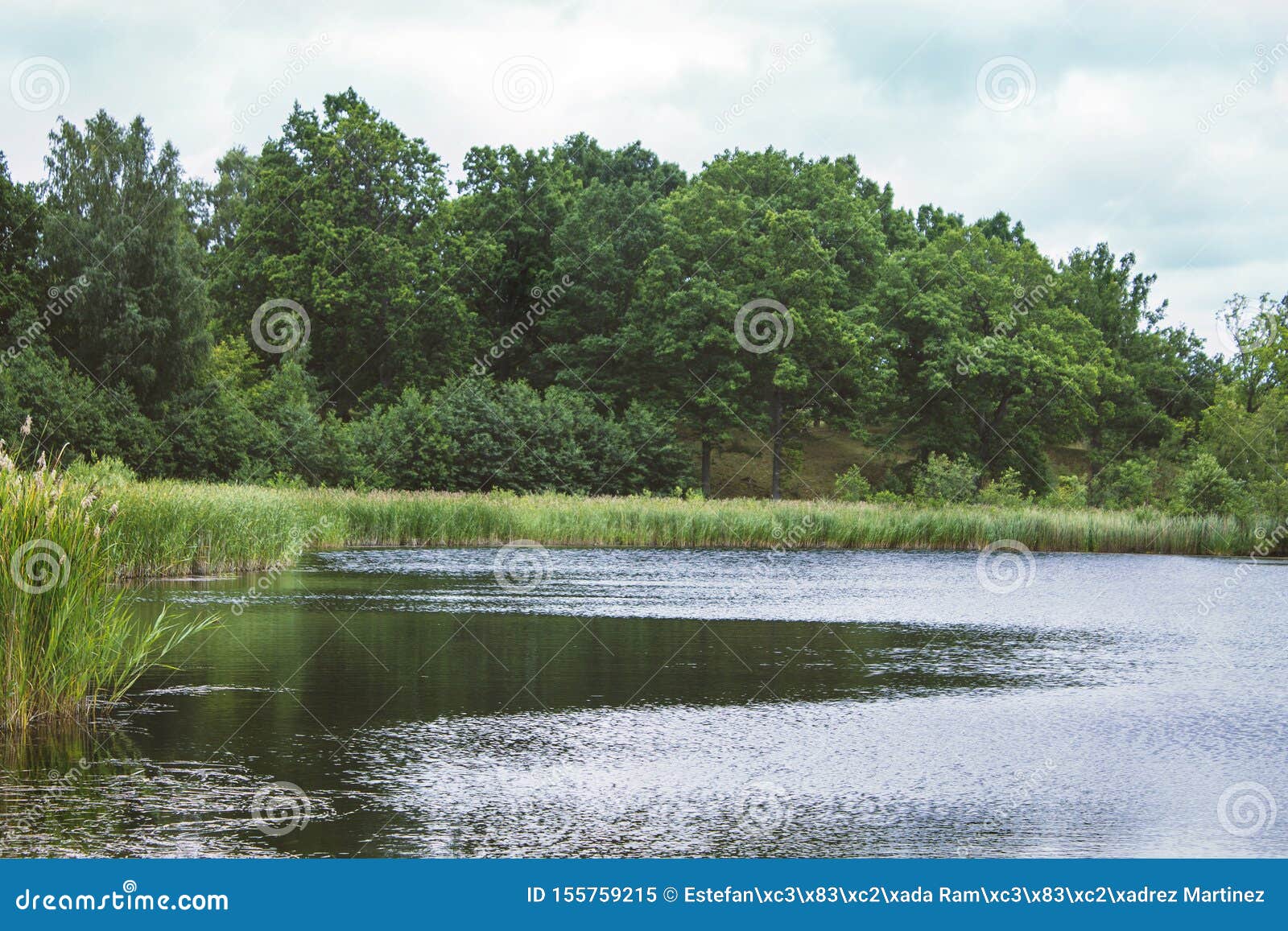 romantic landscape of photography of forest and lake in skovde sweden.