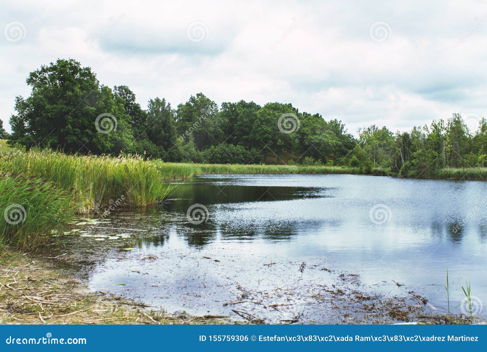 romantic landscape of photography of forest and lake in skovde sweden.