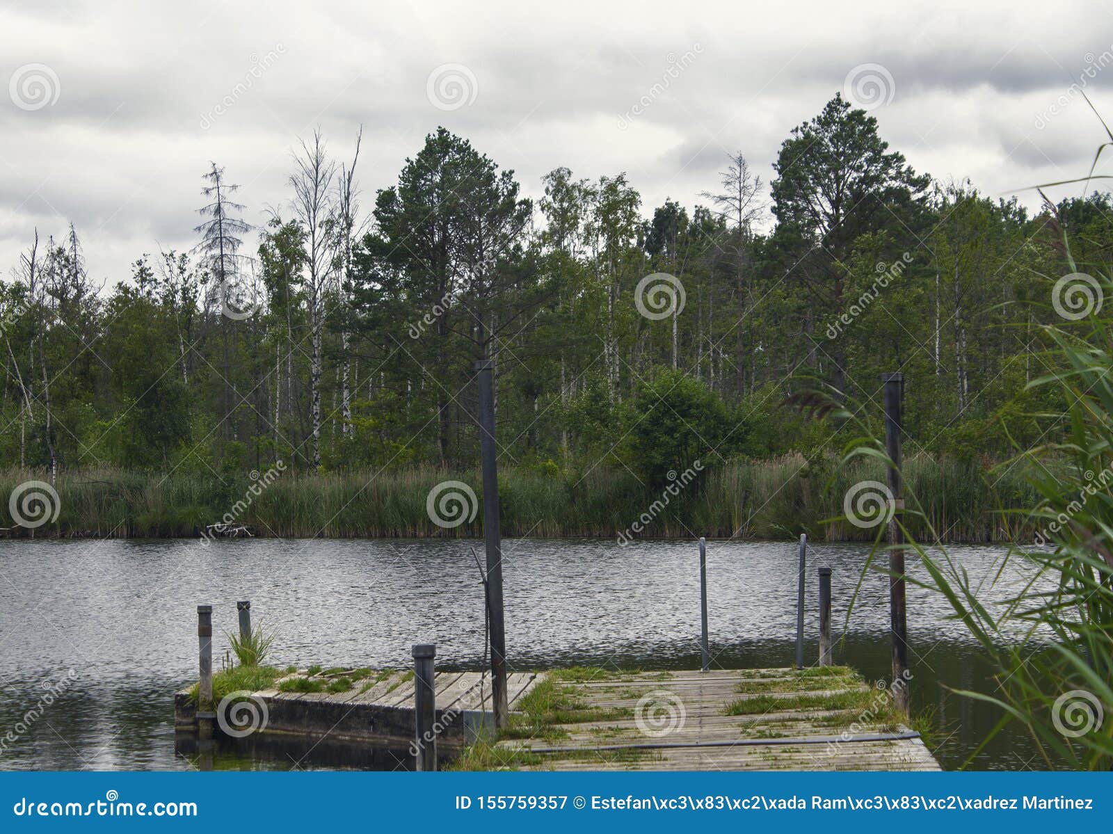 romantic landscape of photography of forest and lake in skovde sweden.