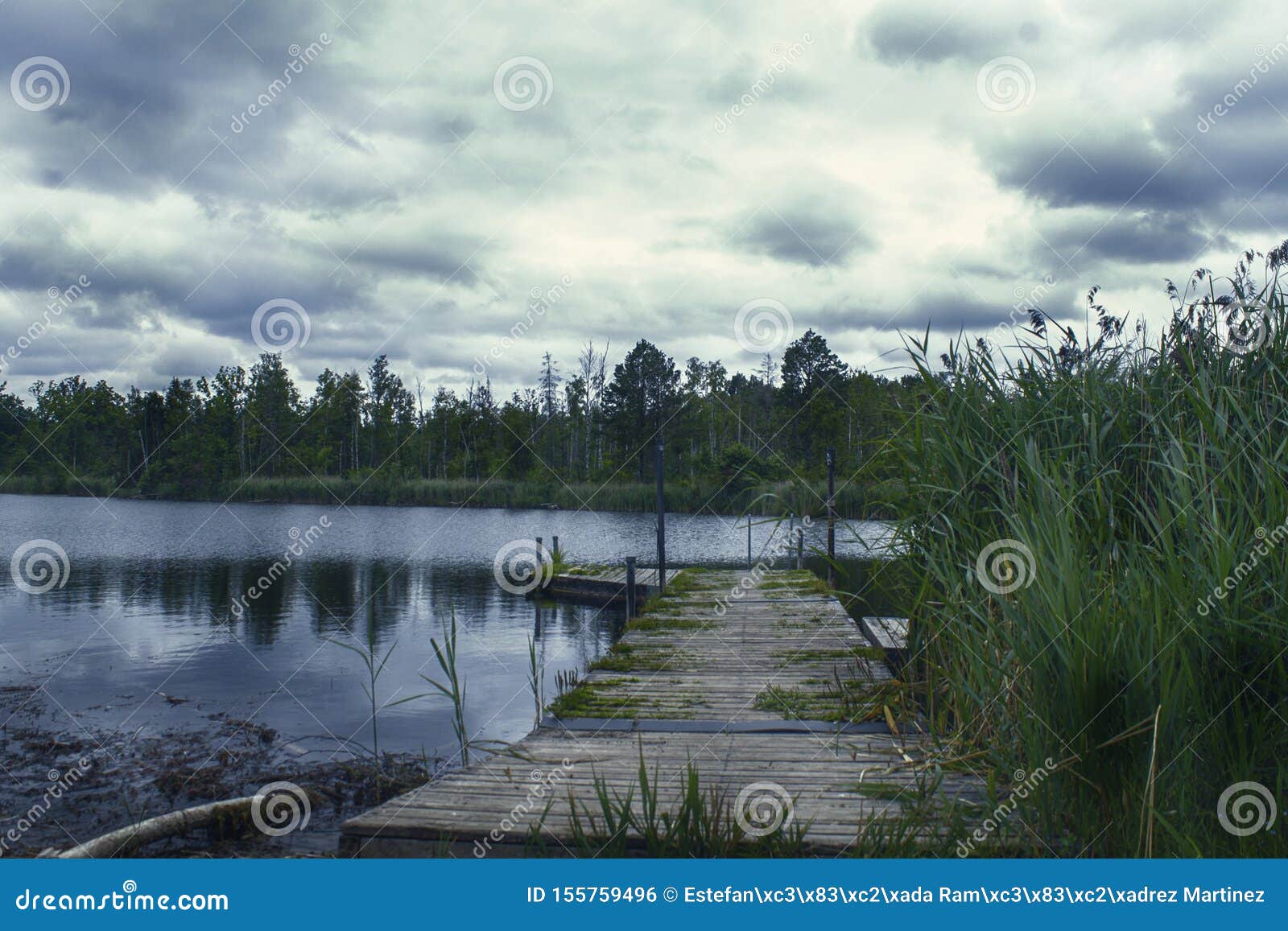 romantic landscape of photography of forest and lake in skovde sweden.