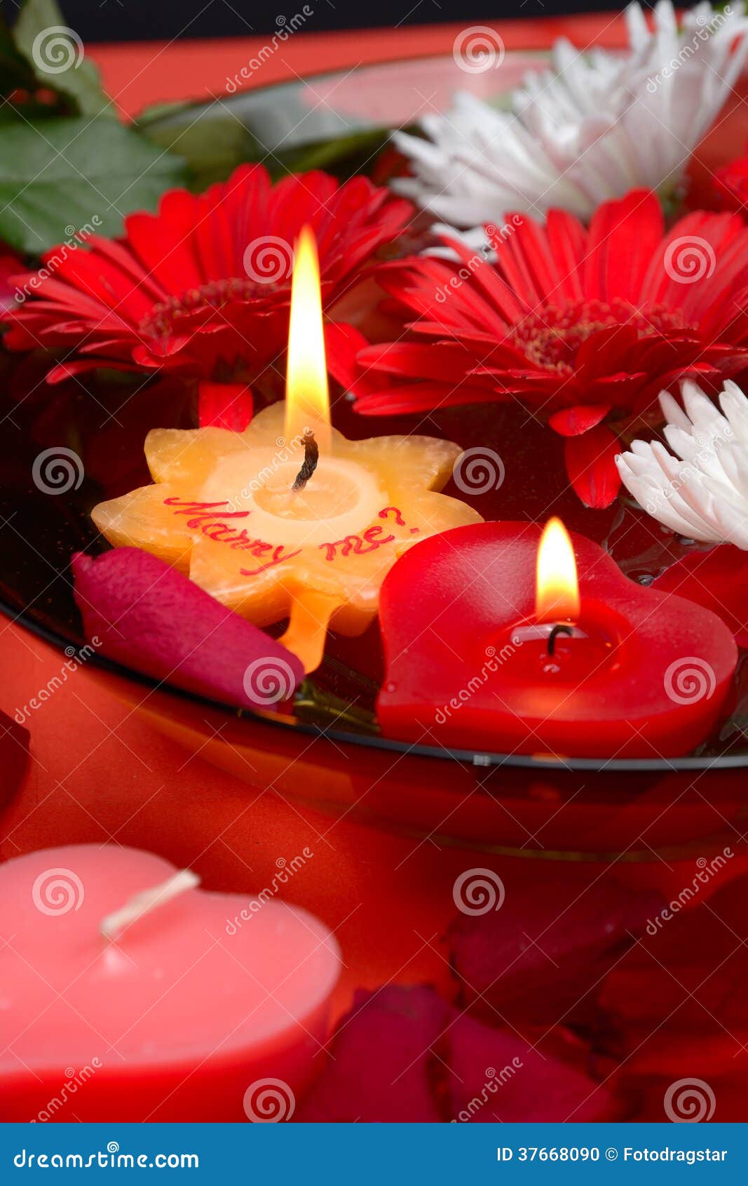 Romantic marriage proposal stock photo. Image of greeting 37668090