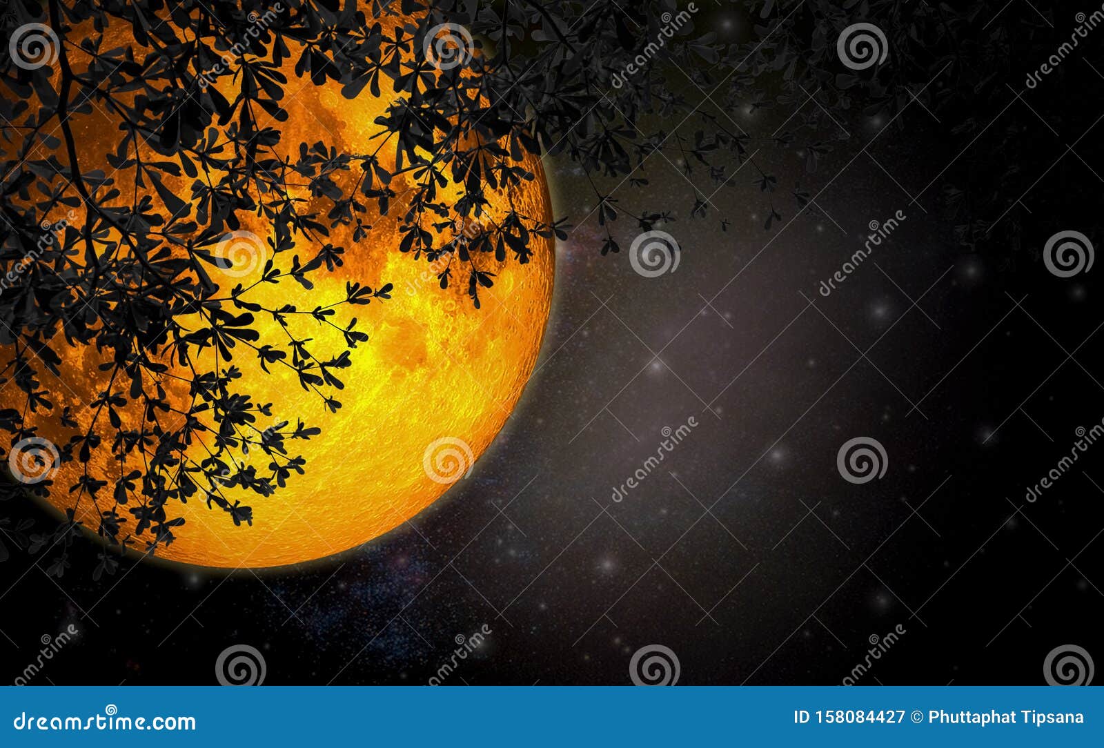 Romantic Night Sky With Large Moon Orange Color Beautiful Sprawling