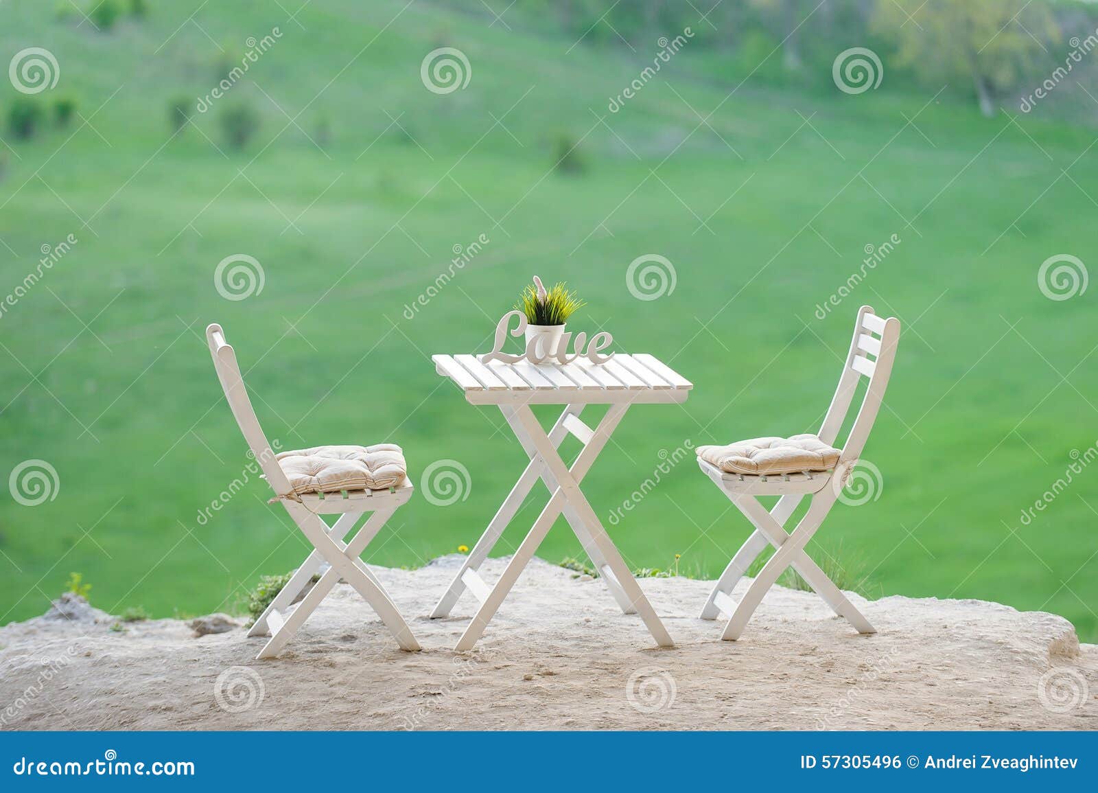 Romantic Picnic stock photo. Image of plant, luxury, scene - 57305496