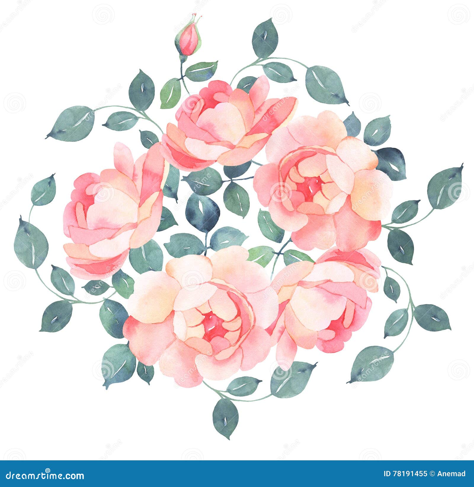 Romantic Roses Watercolor Bouquet Stock Illustration - Illustration of  decoration, roses: 78191455