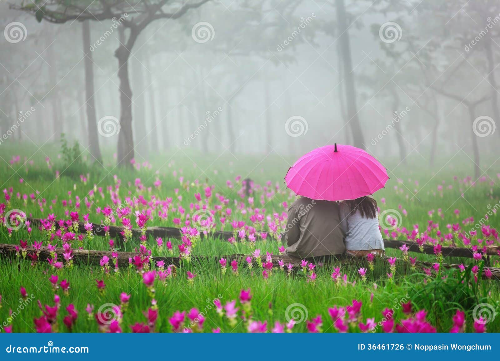 Romantic Scene Royalty Free Stock Image Image 36461726