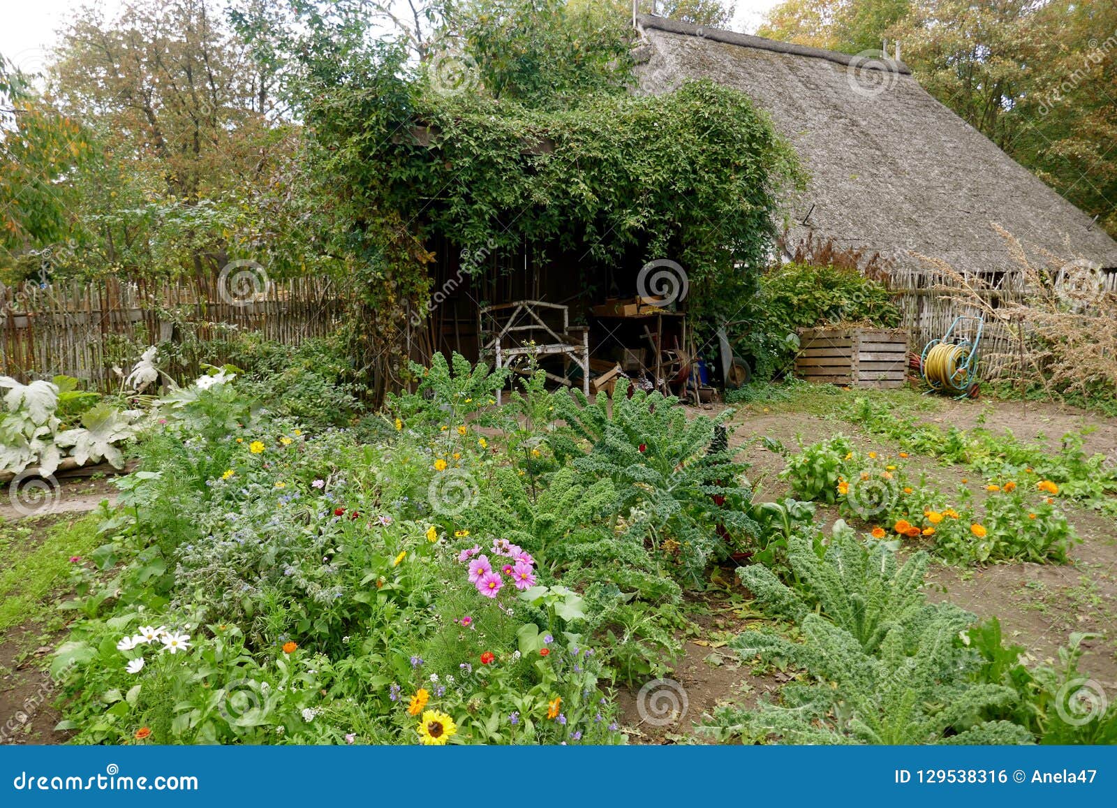 Old Cottage Garden With A Self Made Wooden Bench Stock Photo