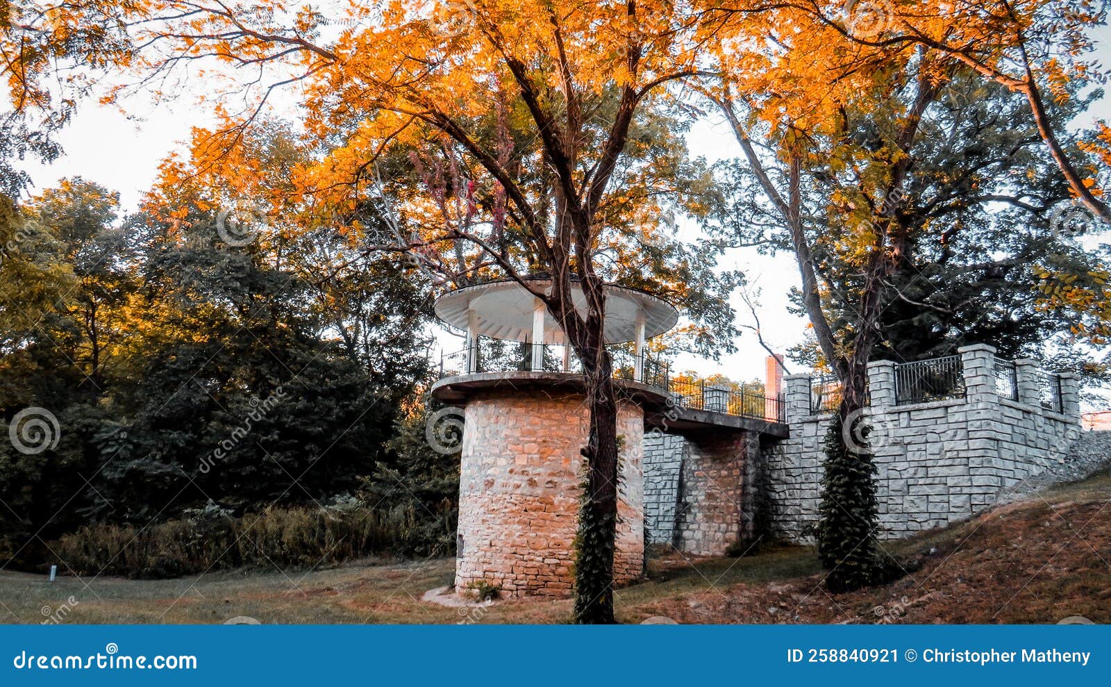 Romeo save me stock image. Image of wall, plant, save 258840921