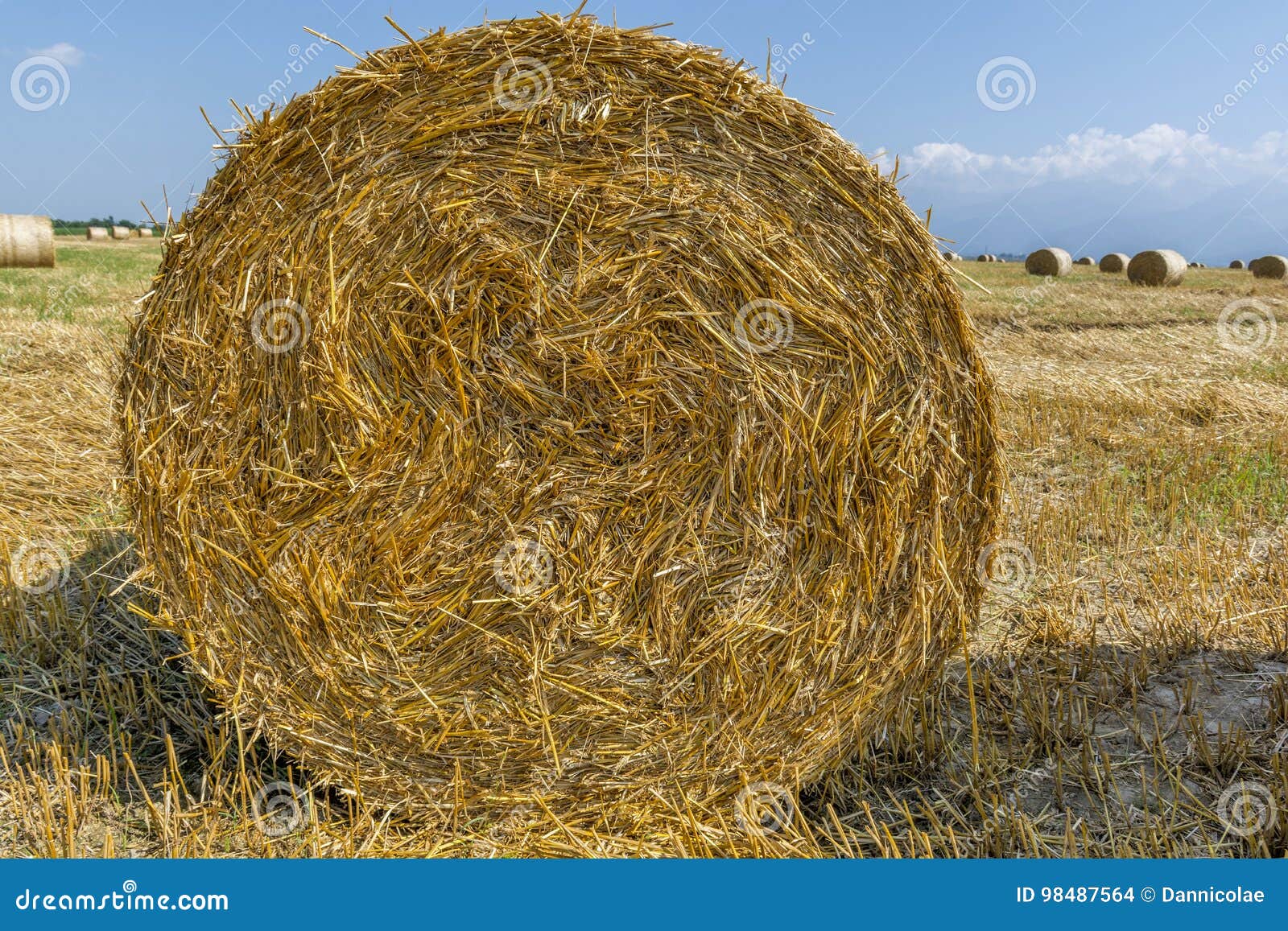 Bij wet Om te mediteren verkoopplan Ronde Balen Van Stro Op Gesneden Korrelgebied Stock Foto - Image of daarna,  geoogst: 98487564