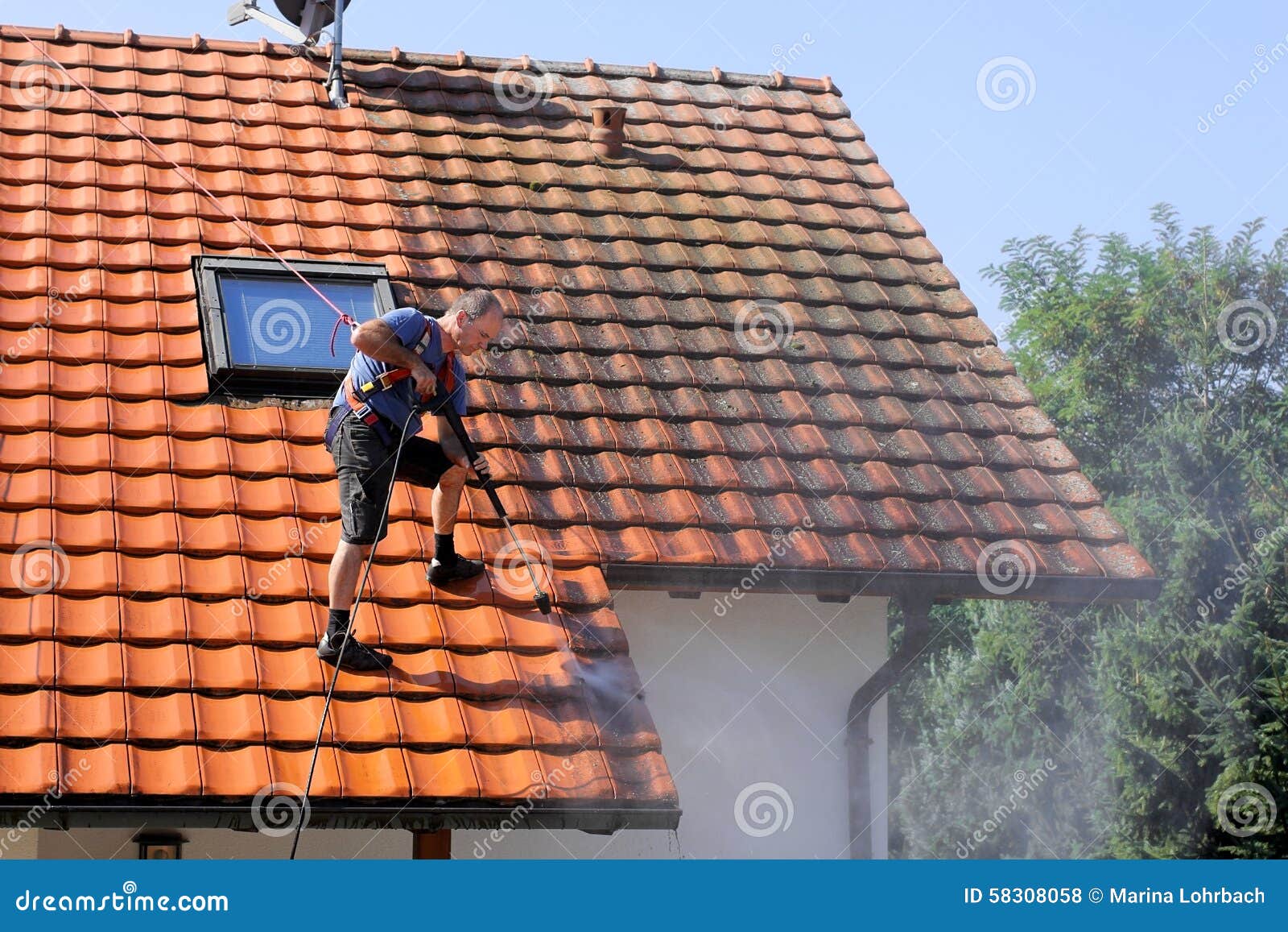 Roof Cleaning