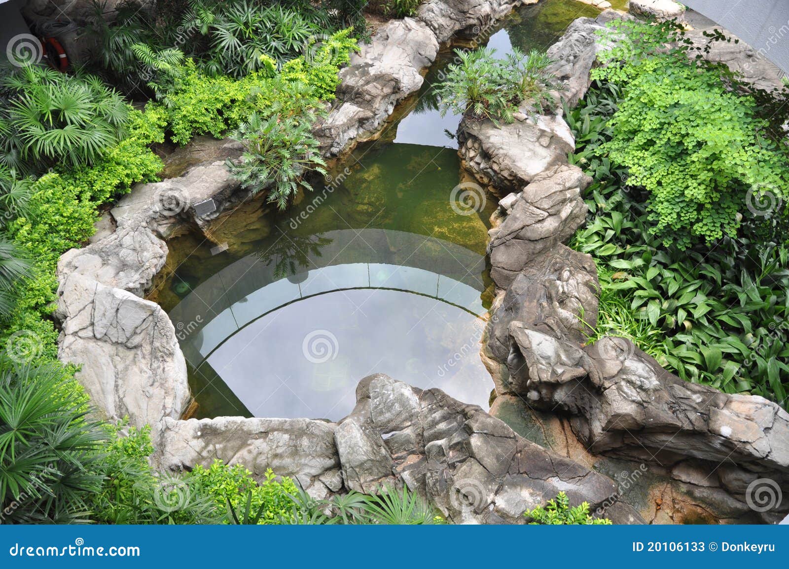 Roof garden with fish pond stock image. Image of view 20106133
